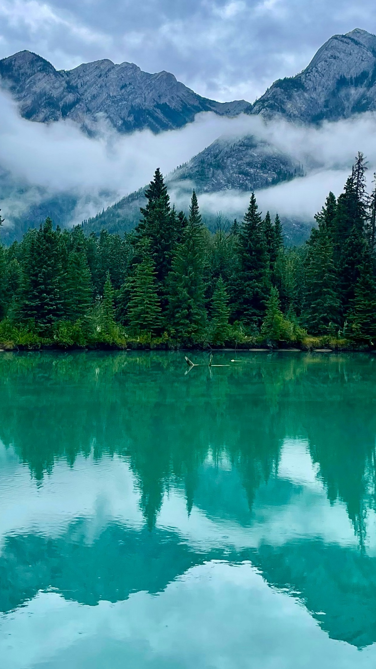 Landscapes