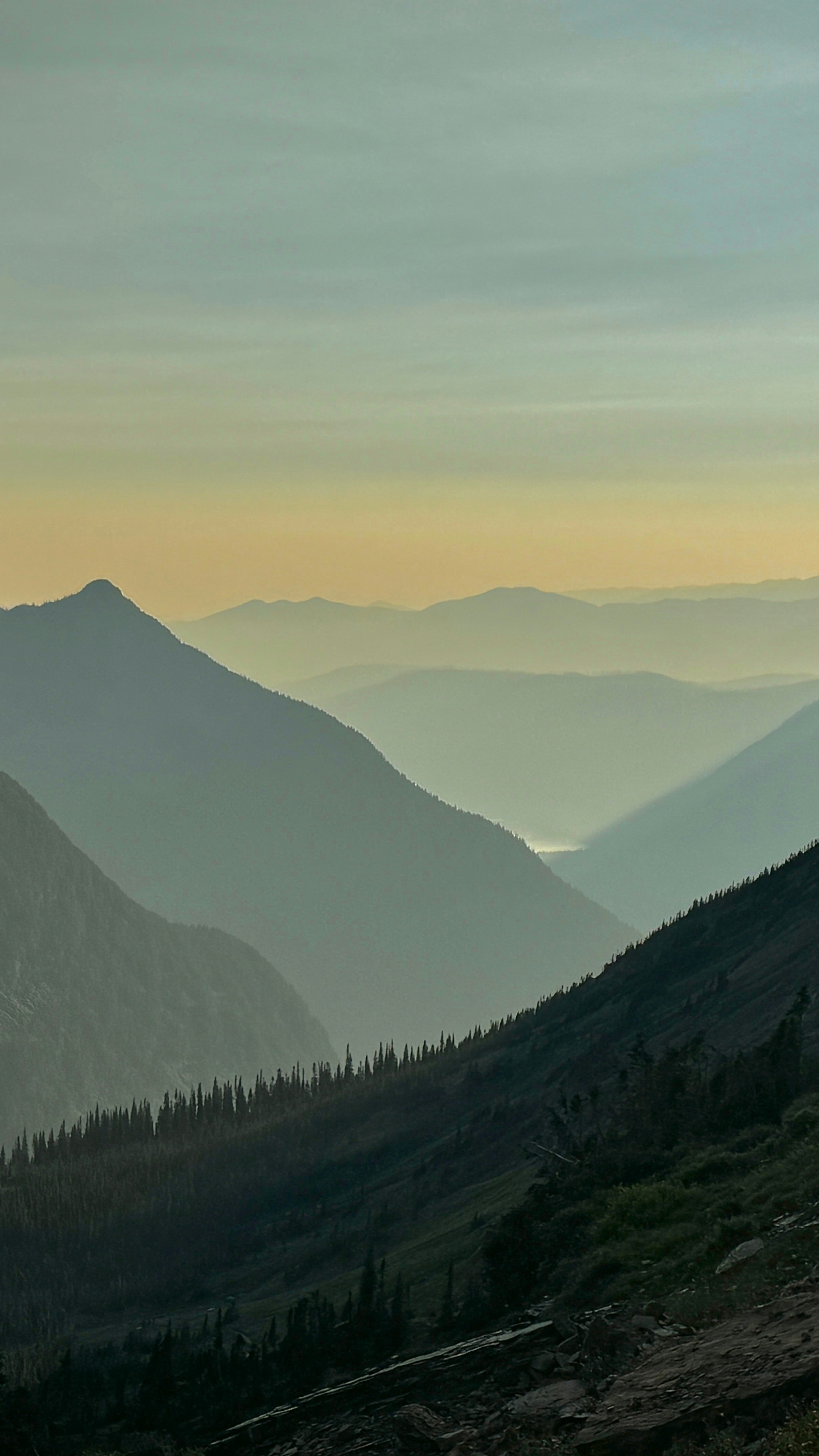 Wallpapers