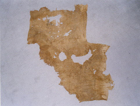 Ancient Papyrus Fragment