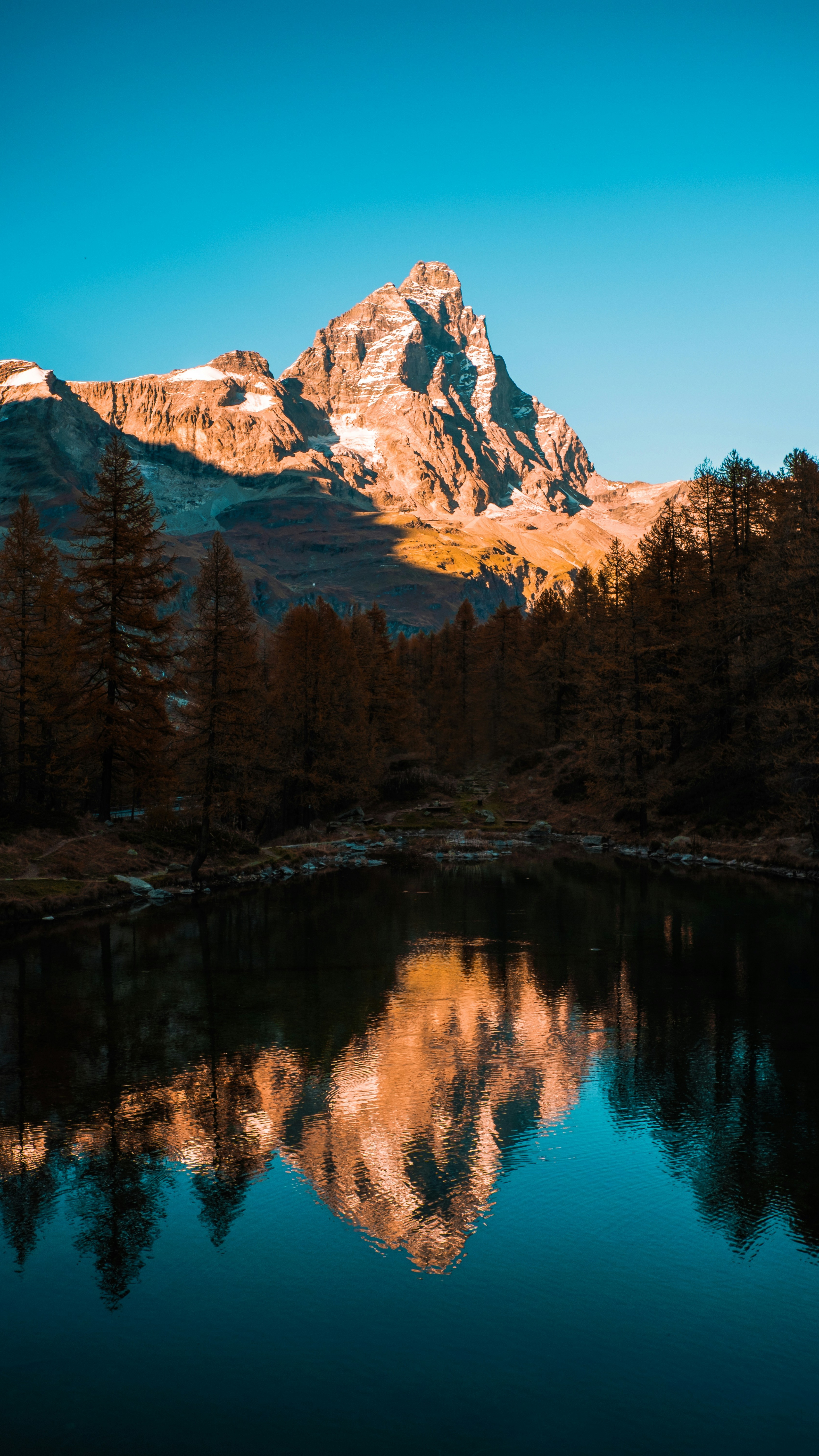Wallpapers