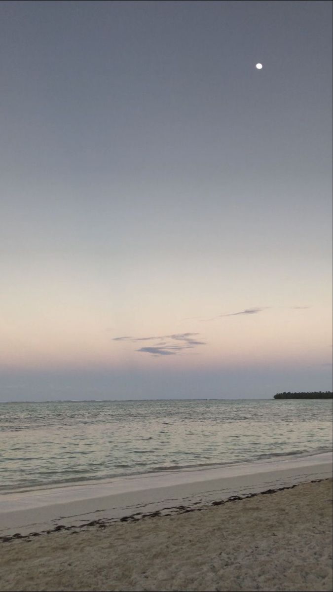 Image 17268 — Nature