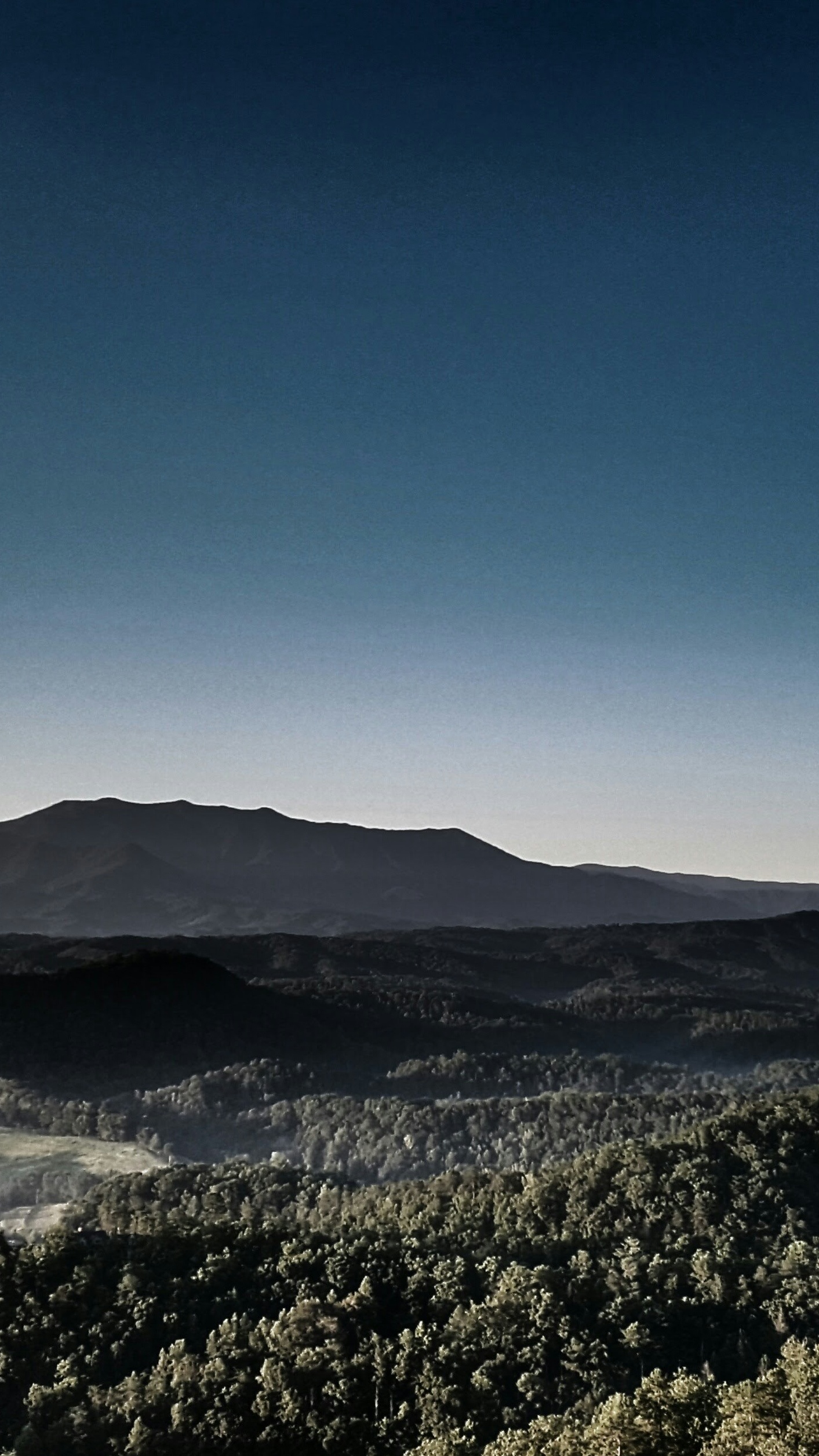 Layered Mountain Forest Landscape