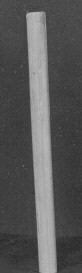 White Cylindrical Rod on Dark Background