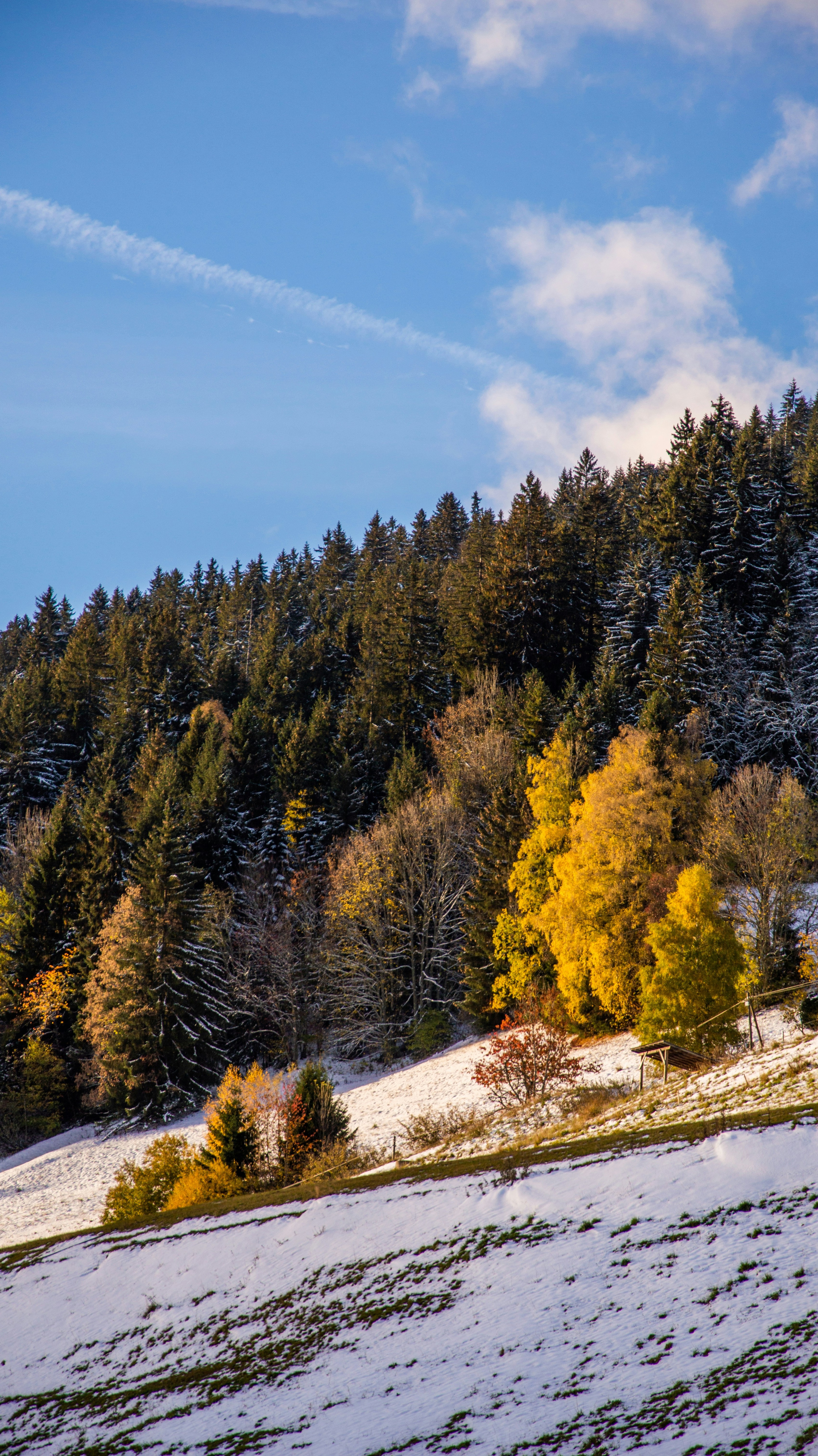 Early Snow on Autumn Mountain Slope