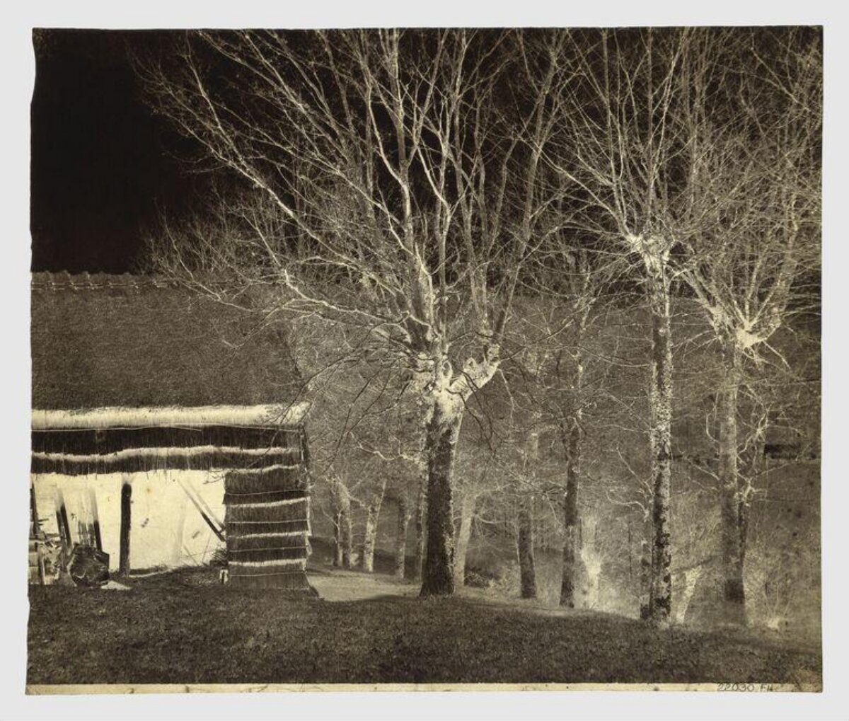 Vintage Log Cabin Landscape