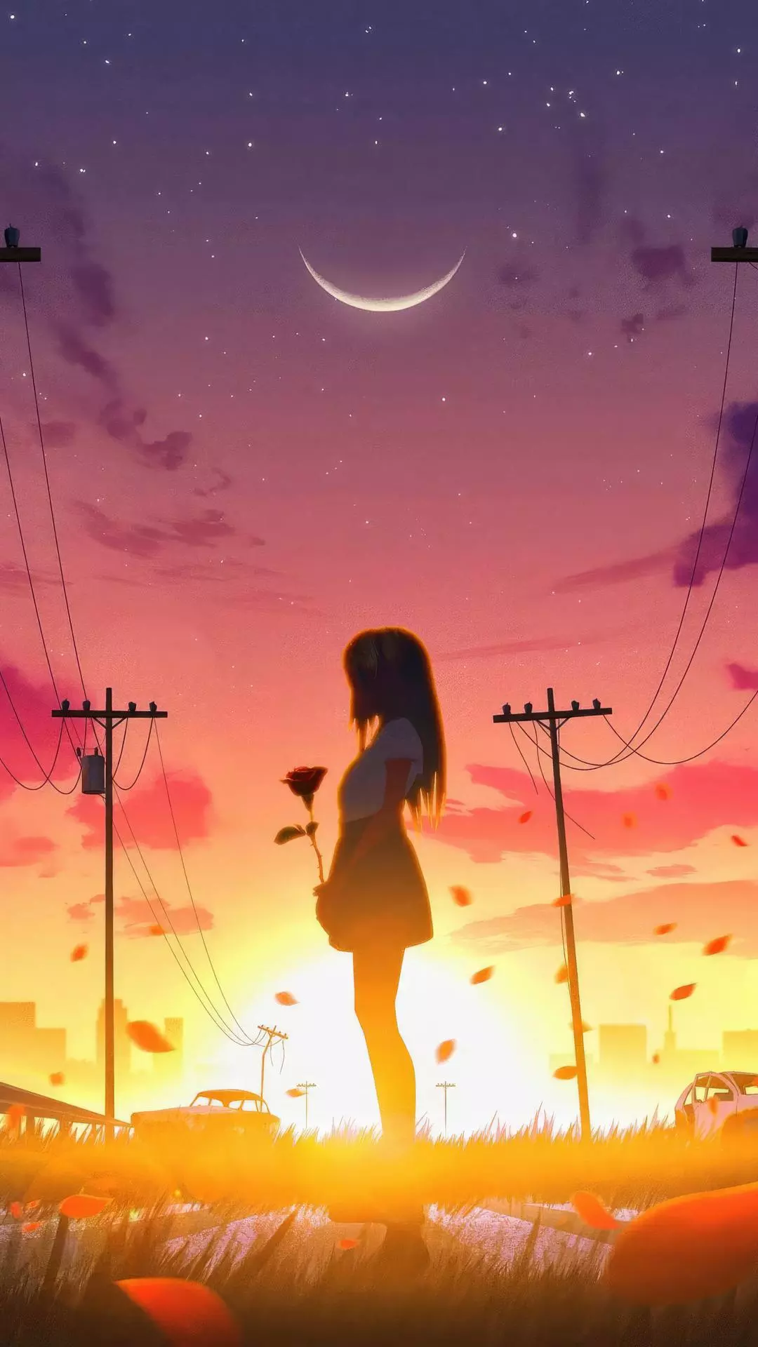 Wallpapers