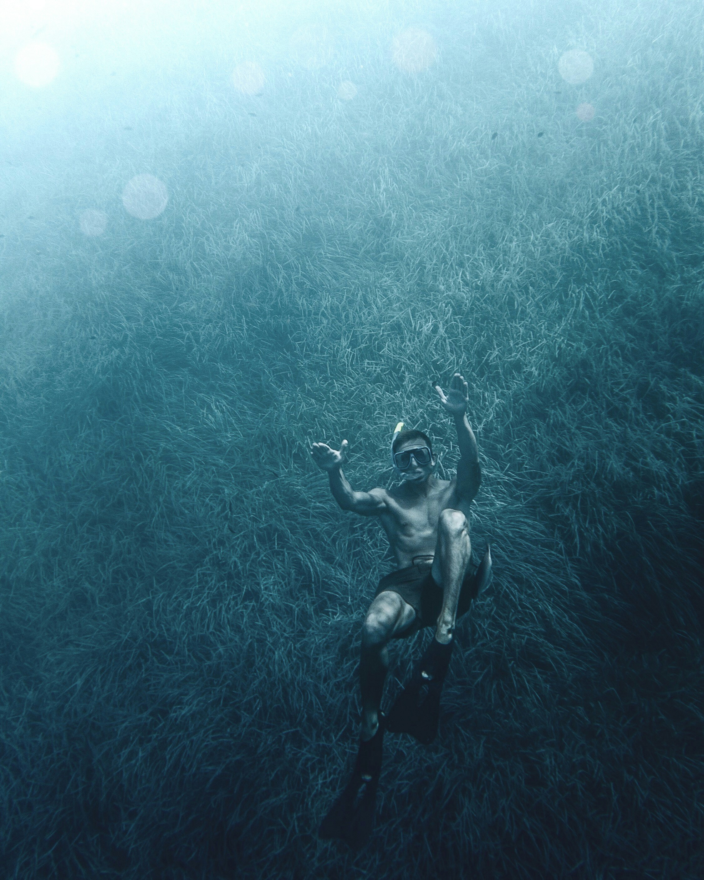 Freediver Hovering Over Underwater Seagrass