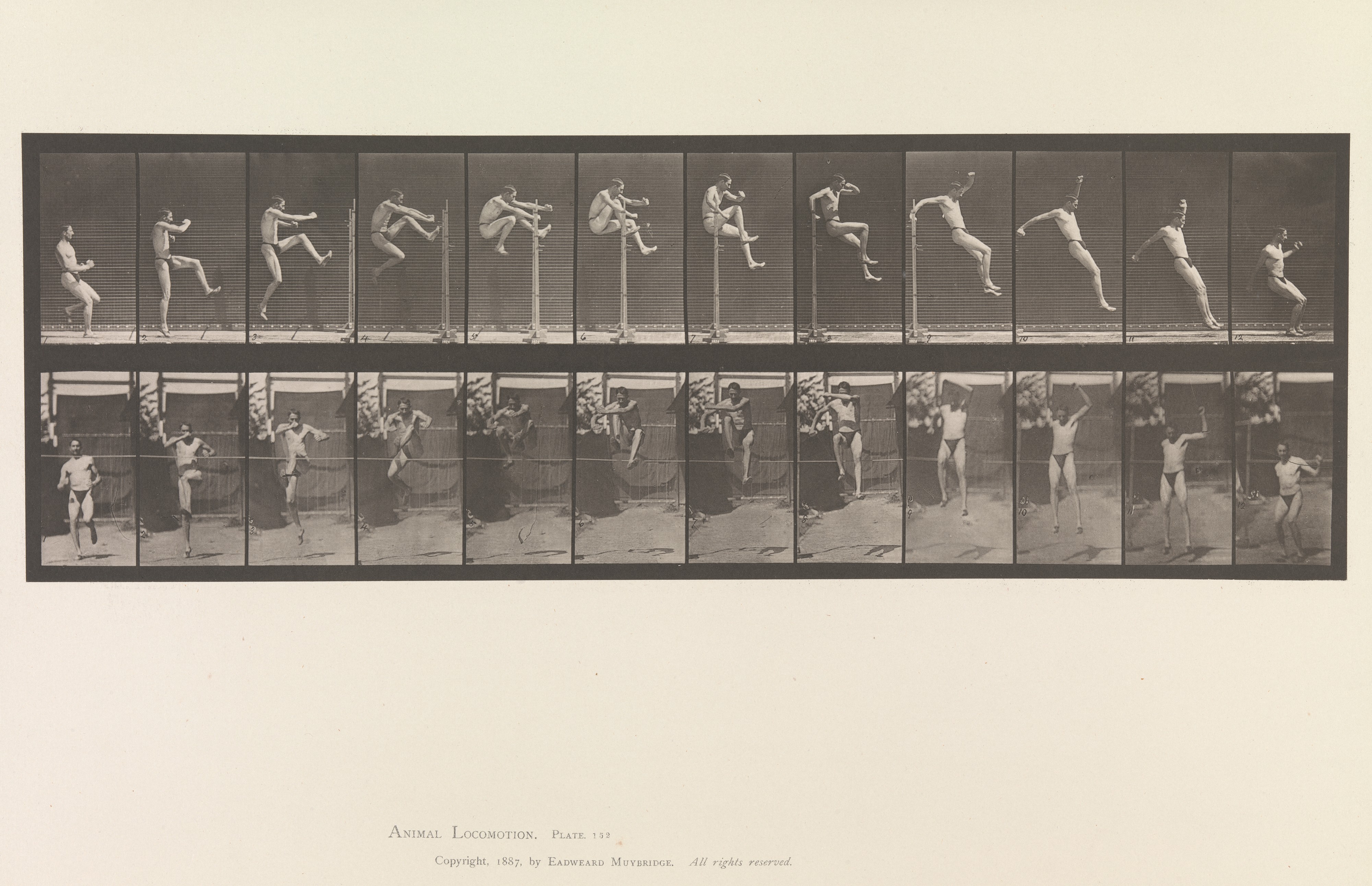 High Jump Motion Sequence Study