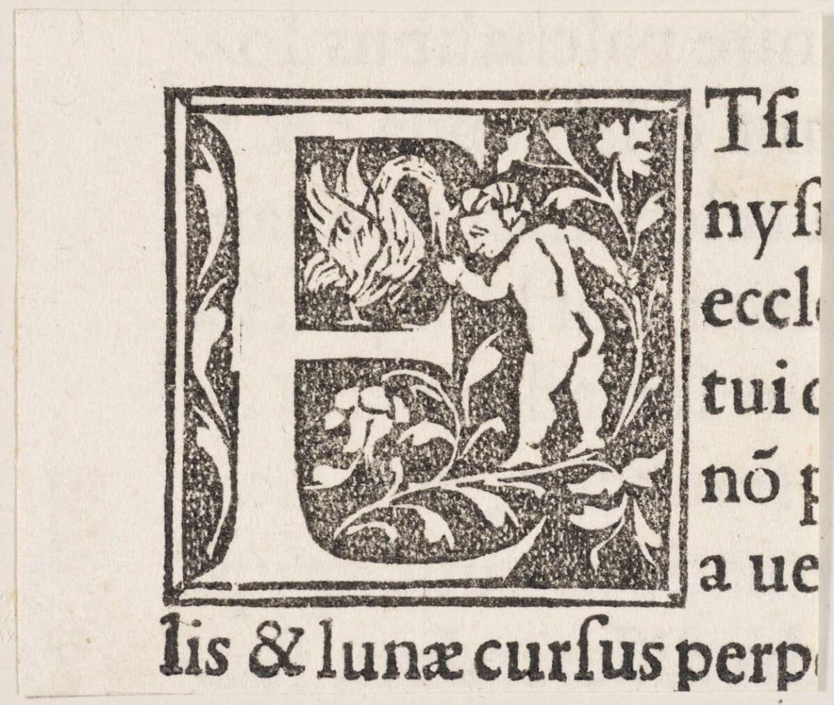 Decorated Initial E Woodcut