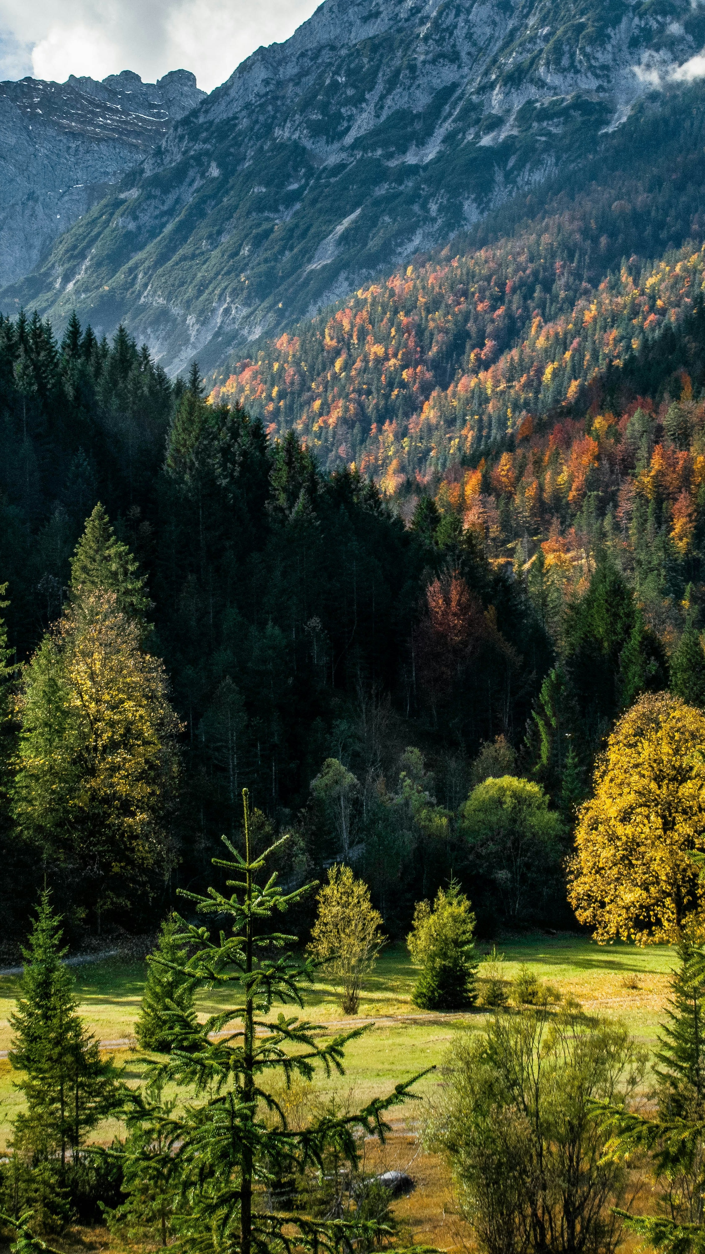 Autumn Mountain Valley Landscape