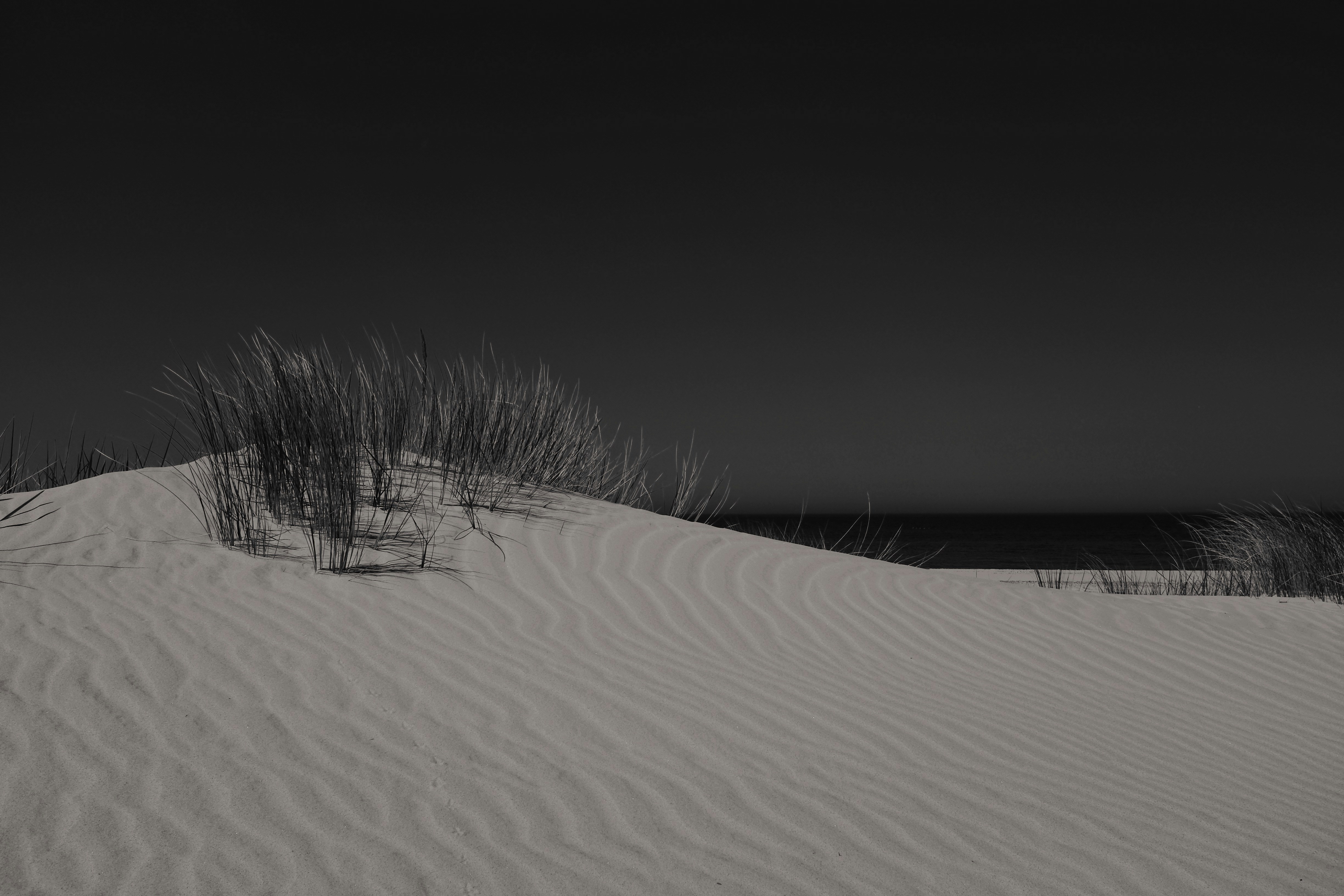 Black and White Coastal Sand Dunes