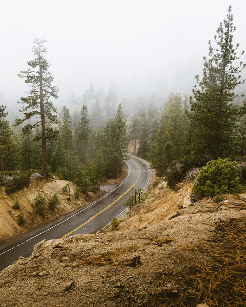 Foggy Mountain Forest Winding Road