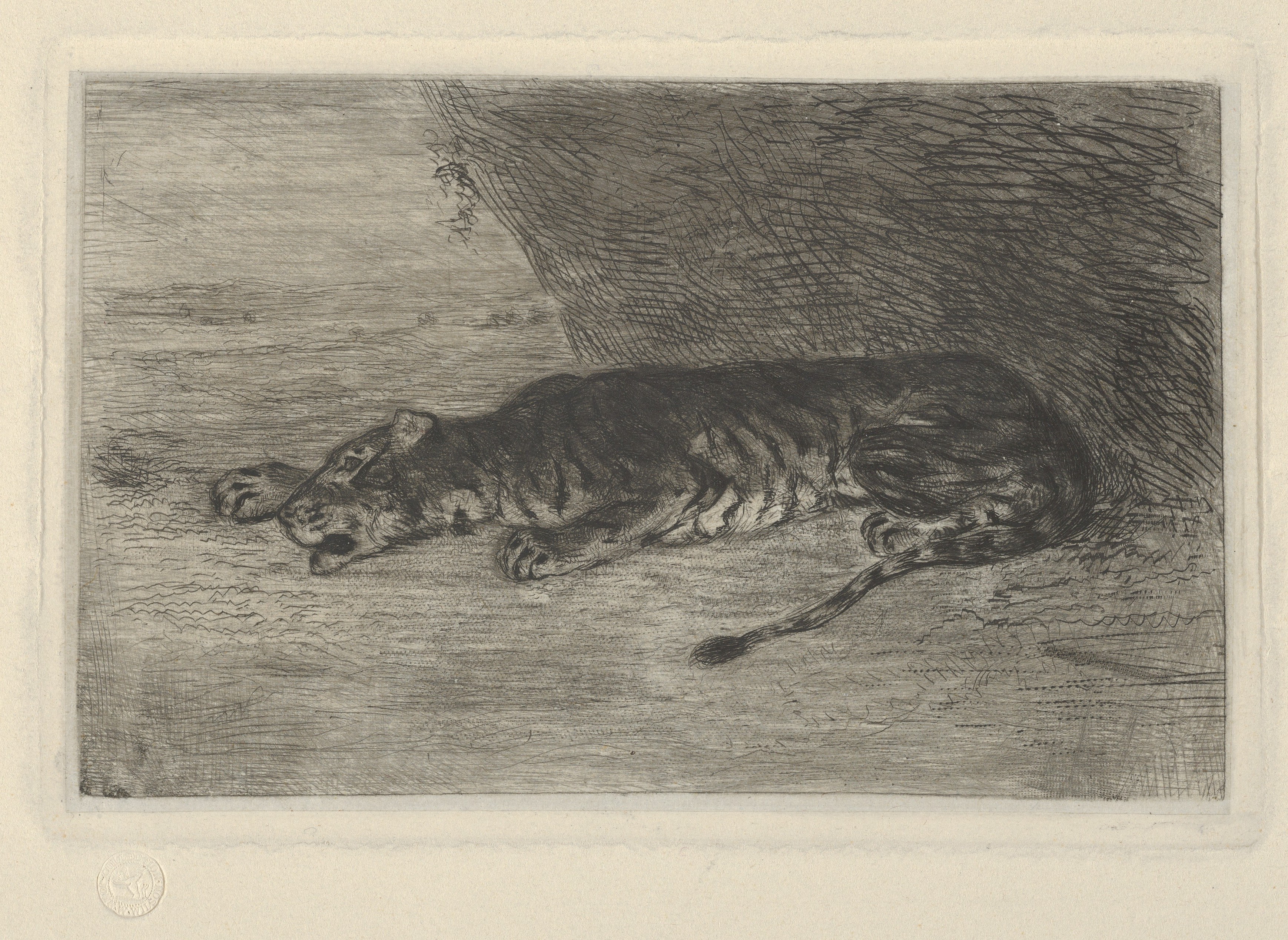 Sleeping Tiger Etching