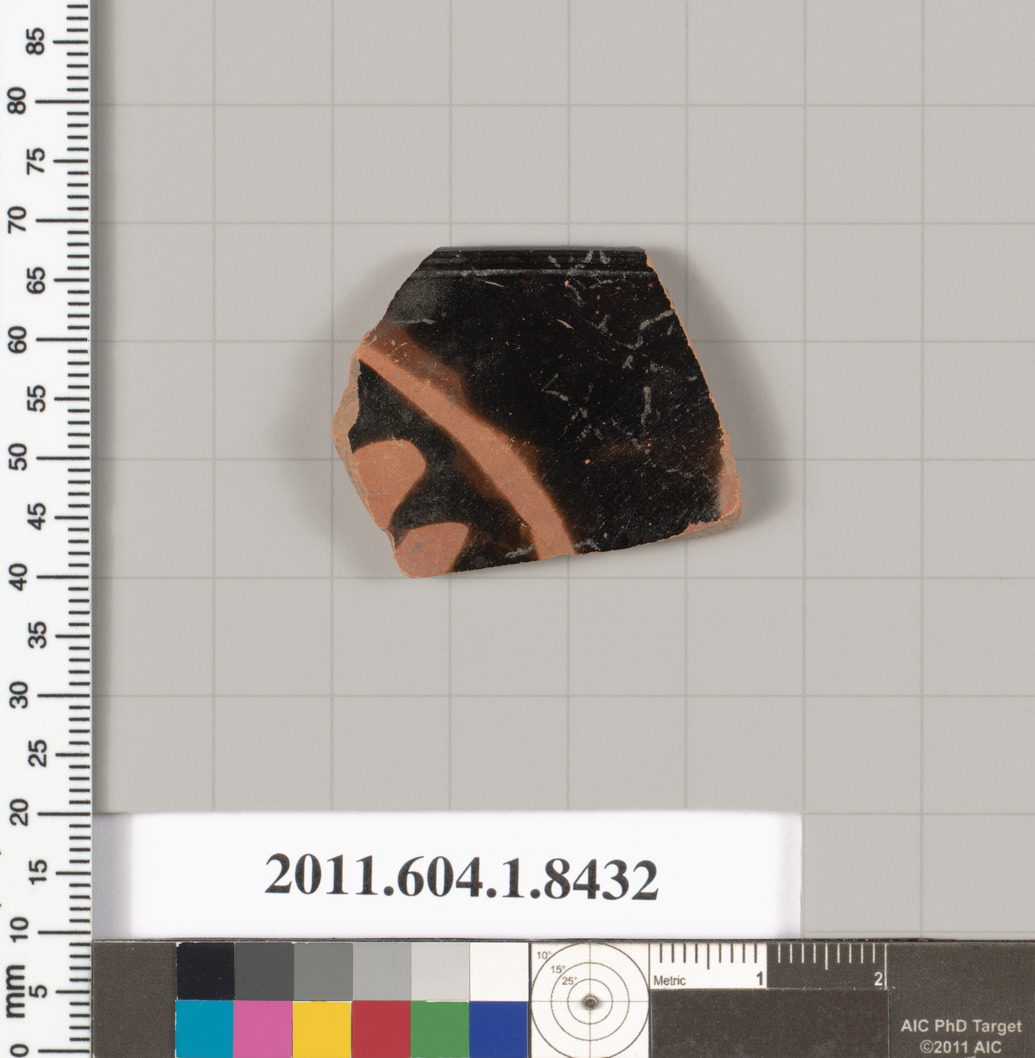 Ancient Pottery Shard Artifact