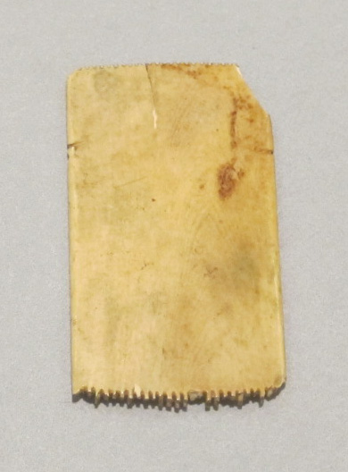 Ancient Fragmented Bone Comb