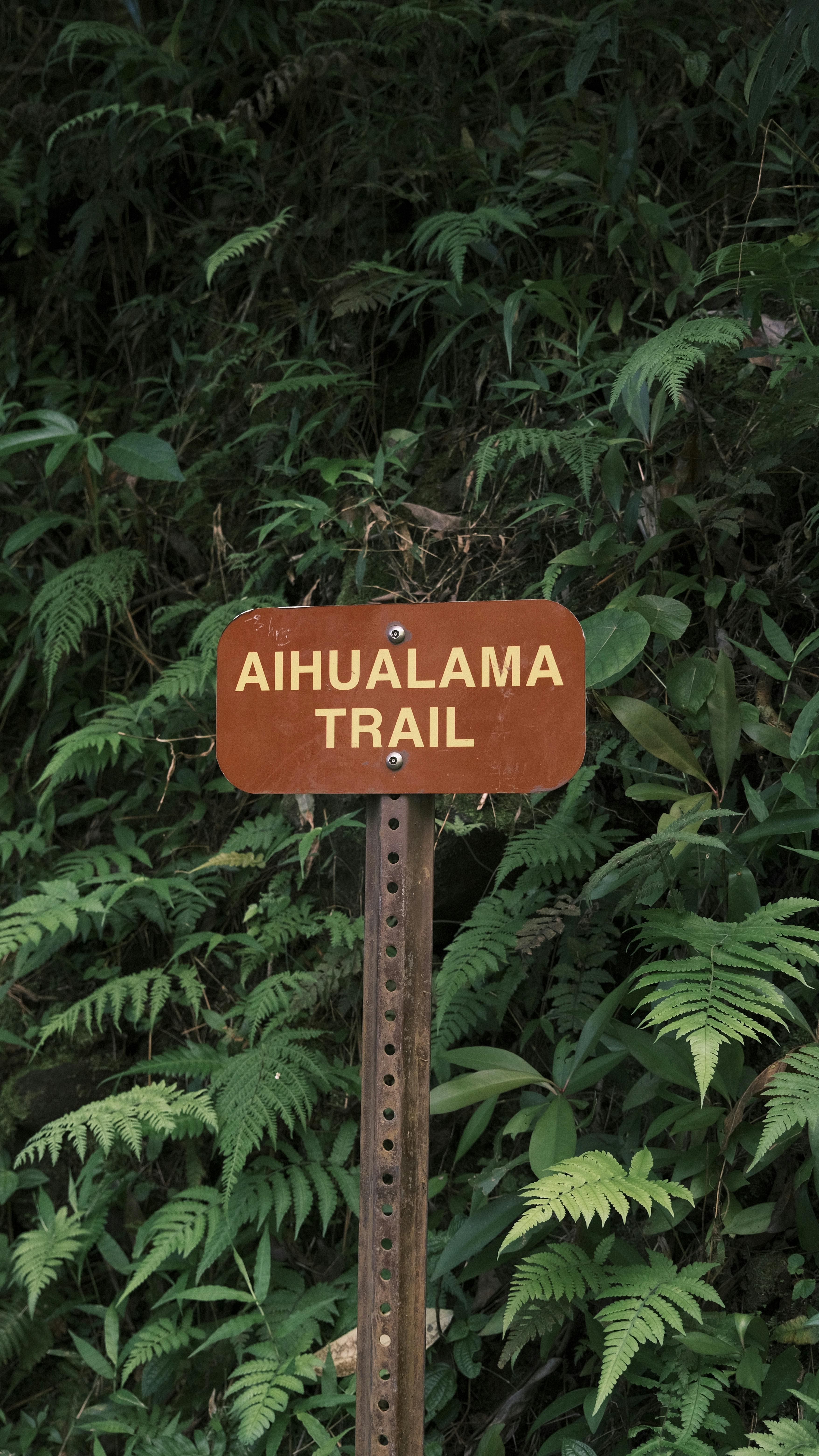 Aihualama Trail Sign