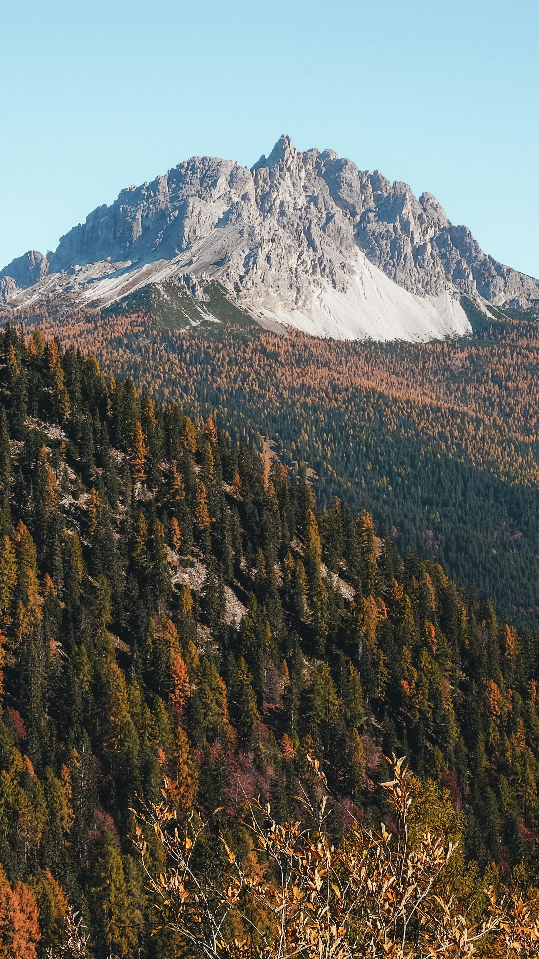 Wallpapers