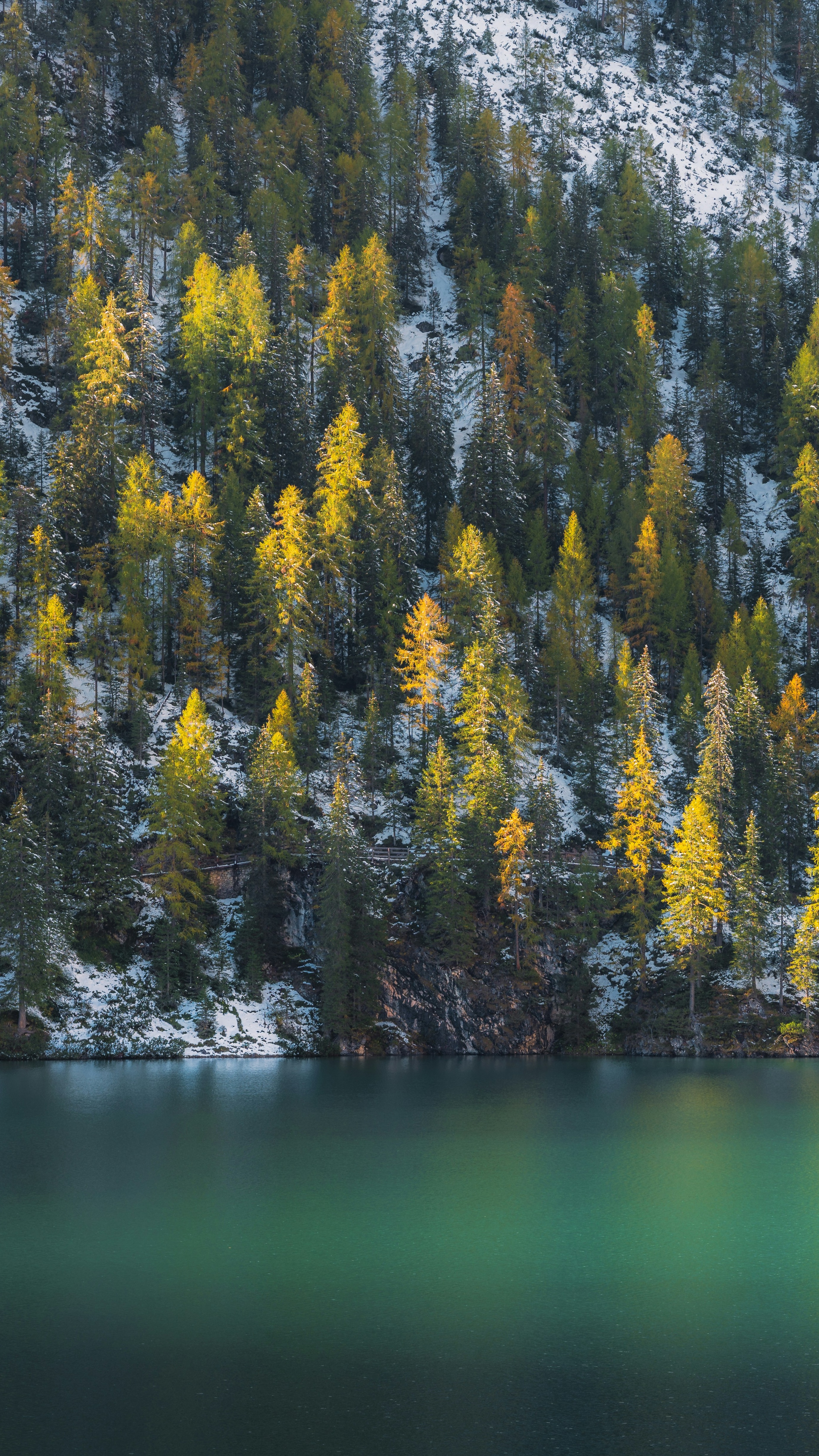 Autumn Forest by Snowy Mountain Lake