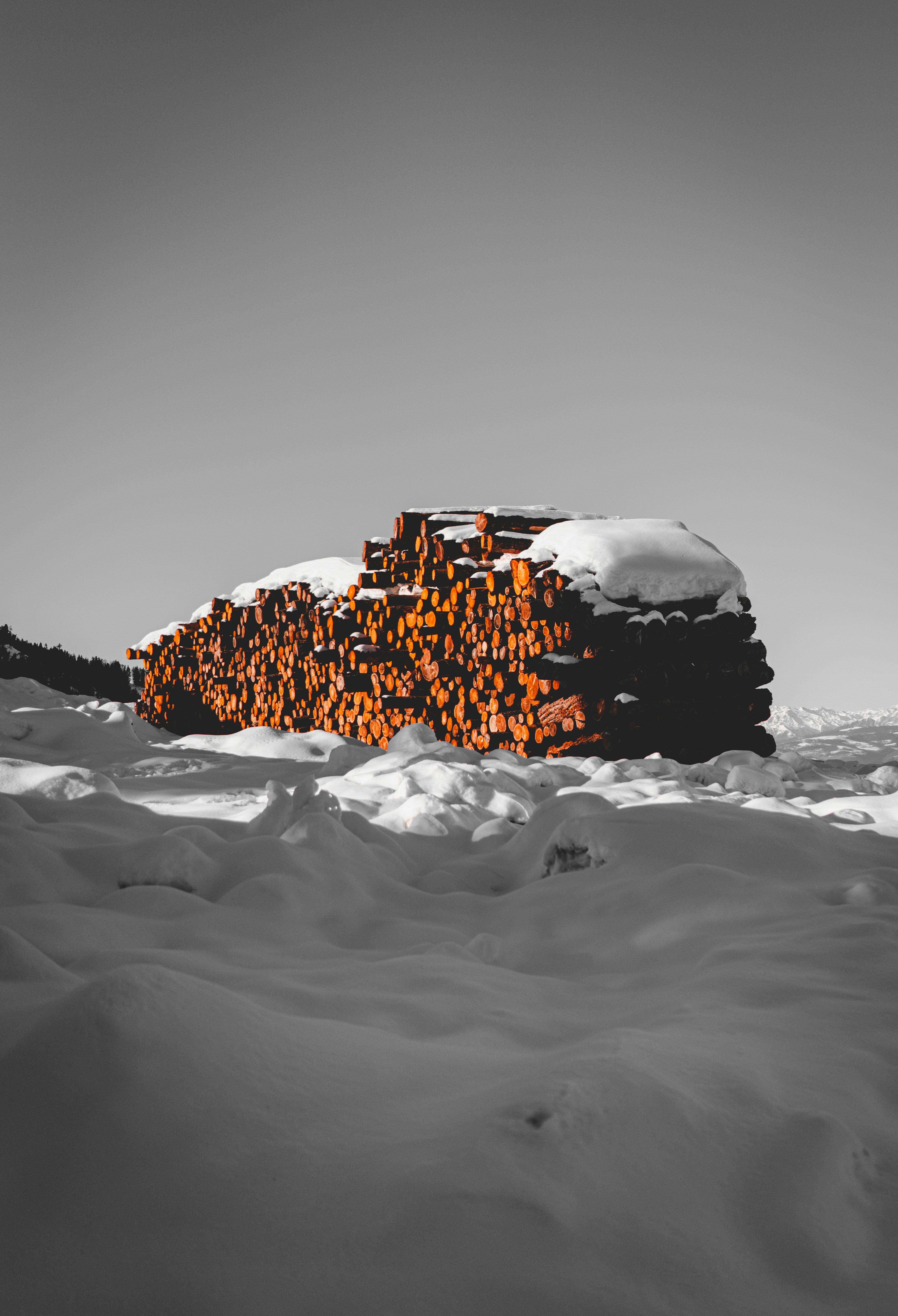 Snow-covered Stacked Firewood in Winter