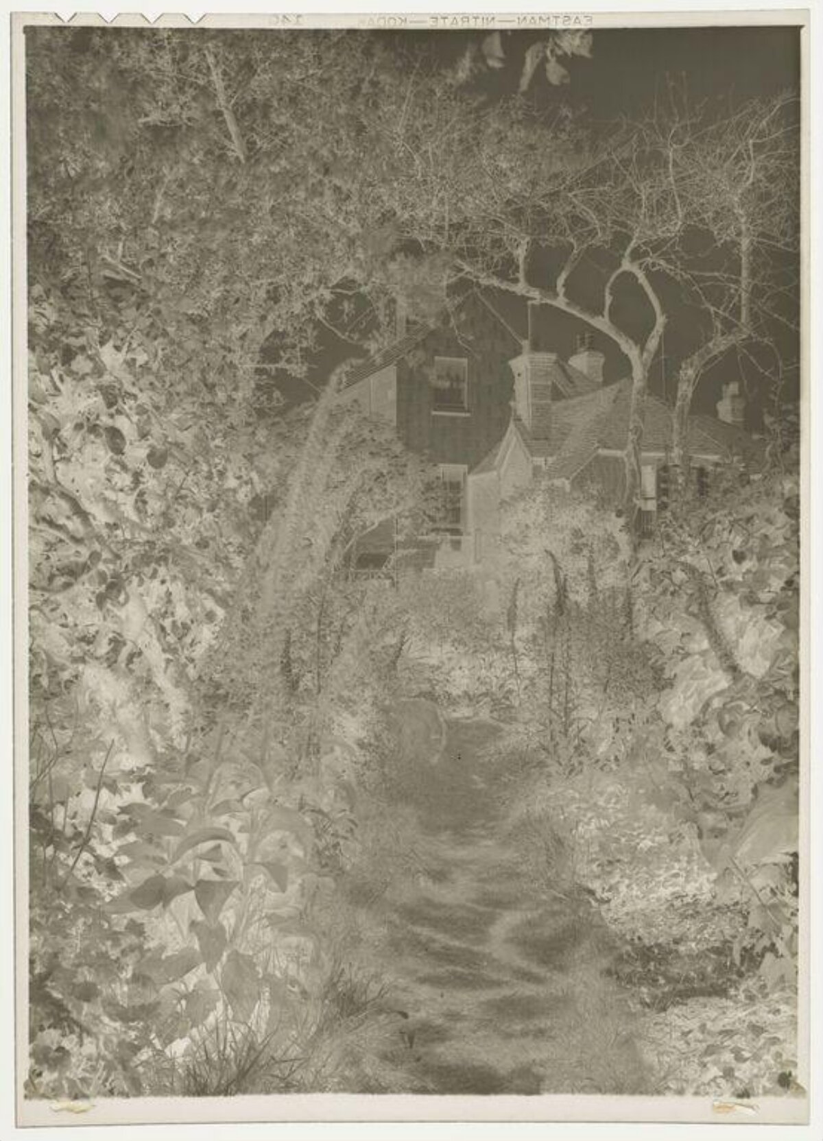 Vintage Path to Hidden Cottage