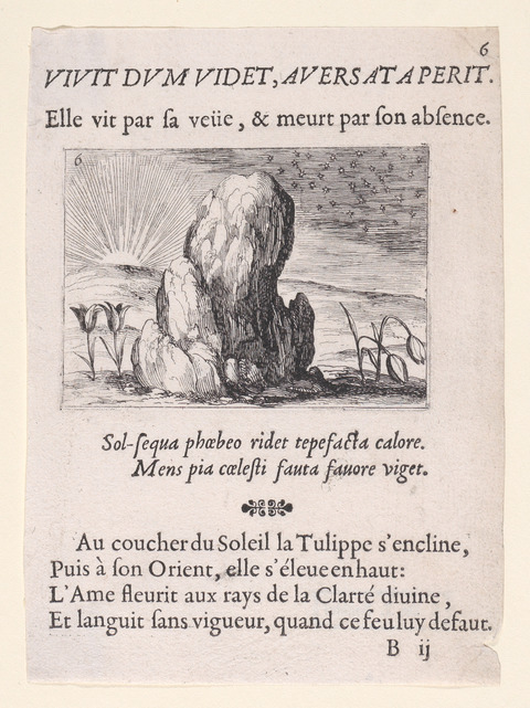 Early Emblem Engraving with Tulips