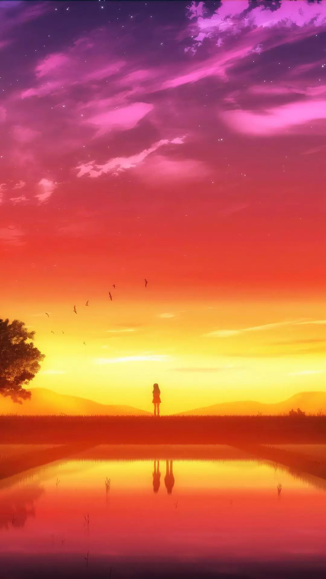 Wallpapers