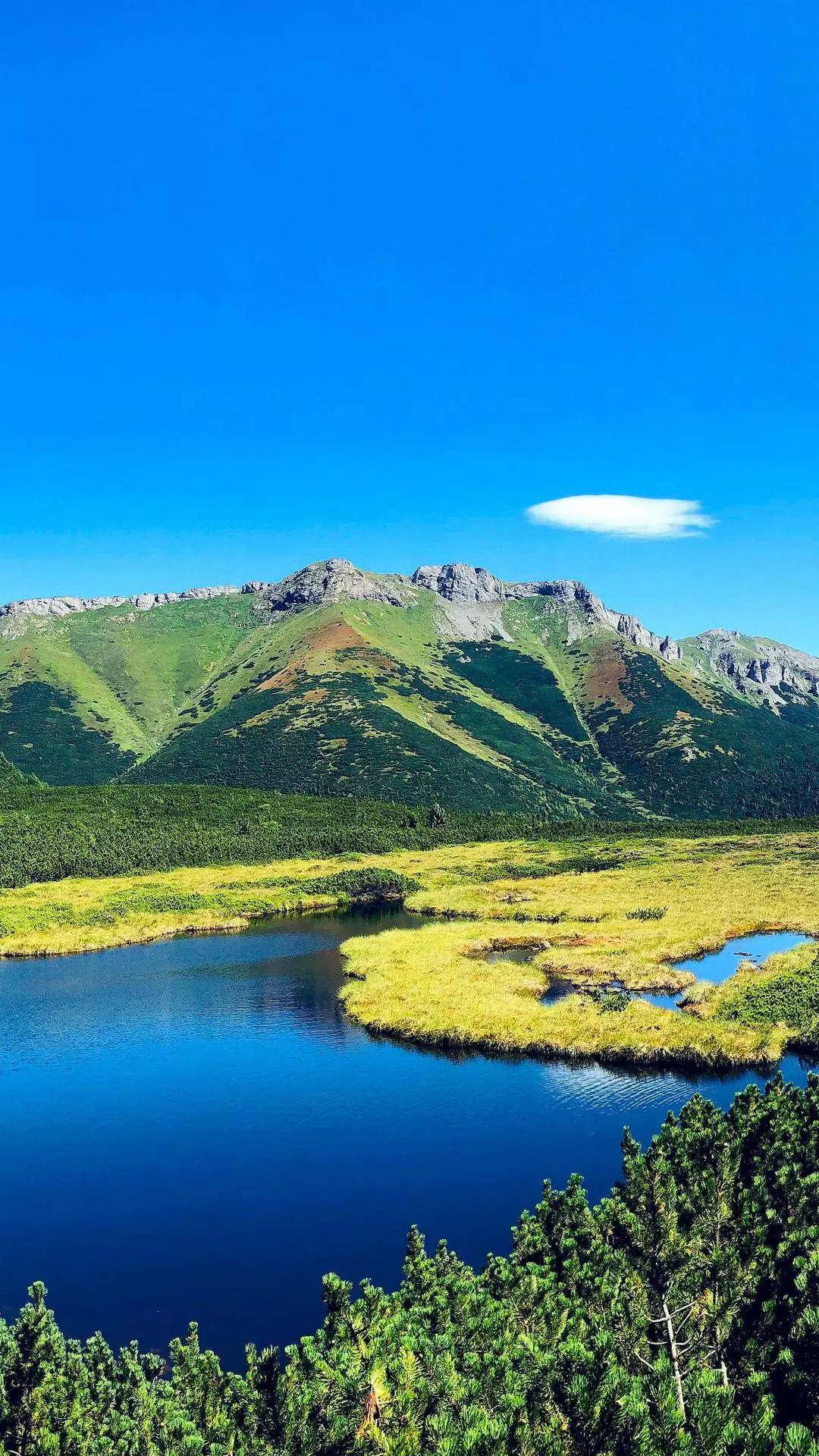 Landscapes