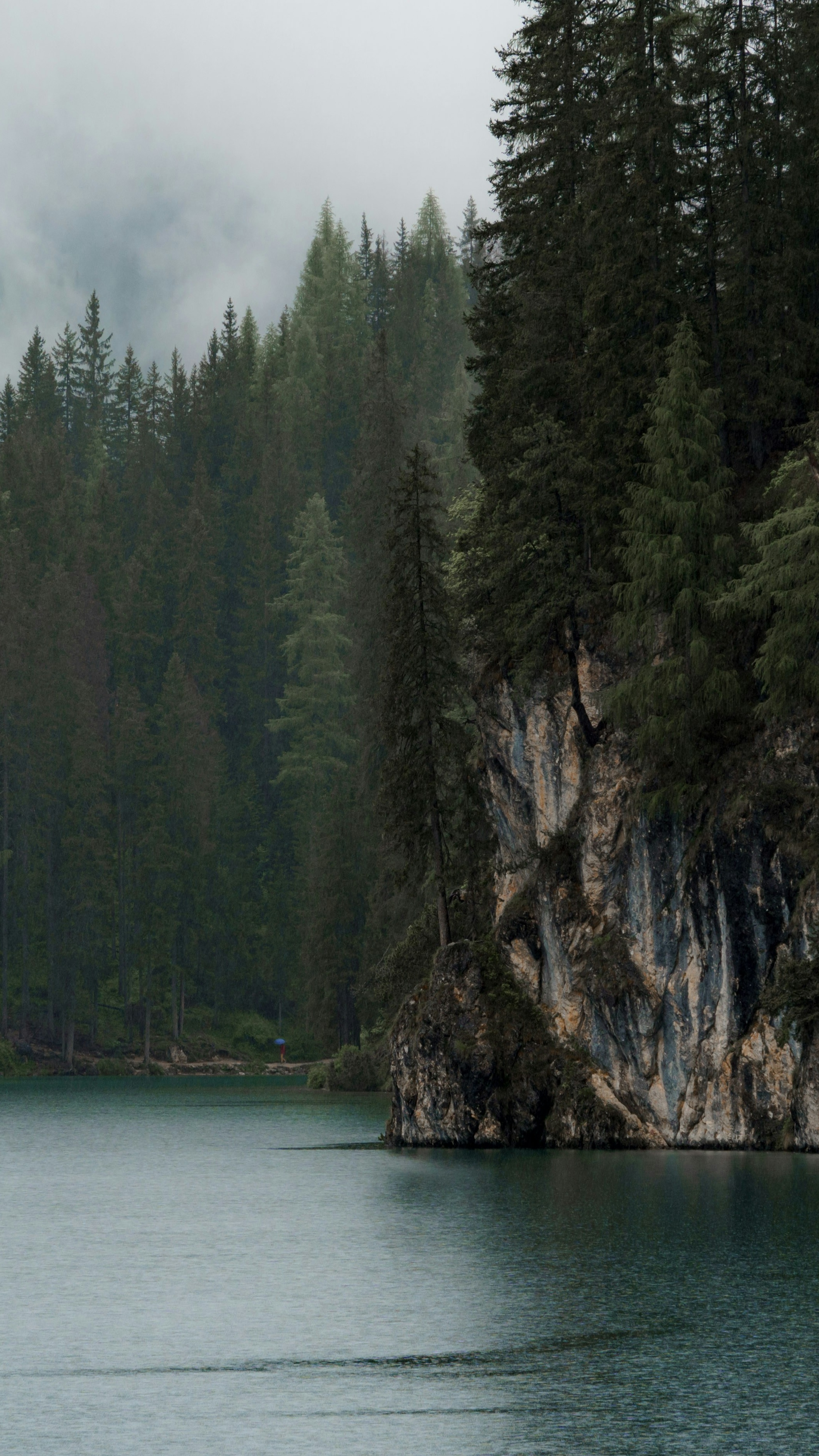 Landscapes