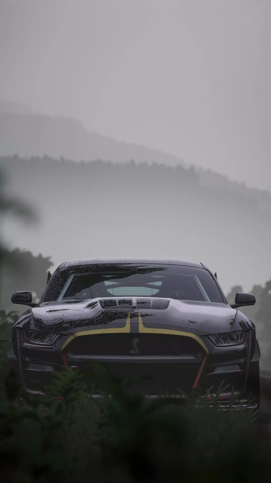 Wallpapers