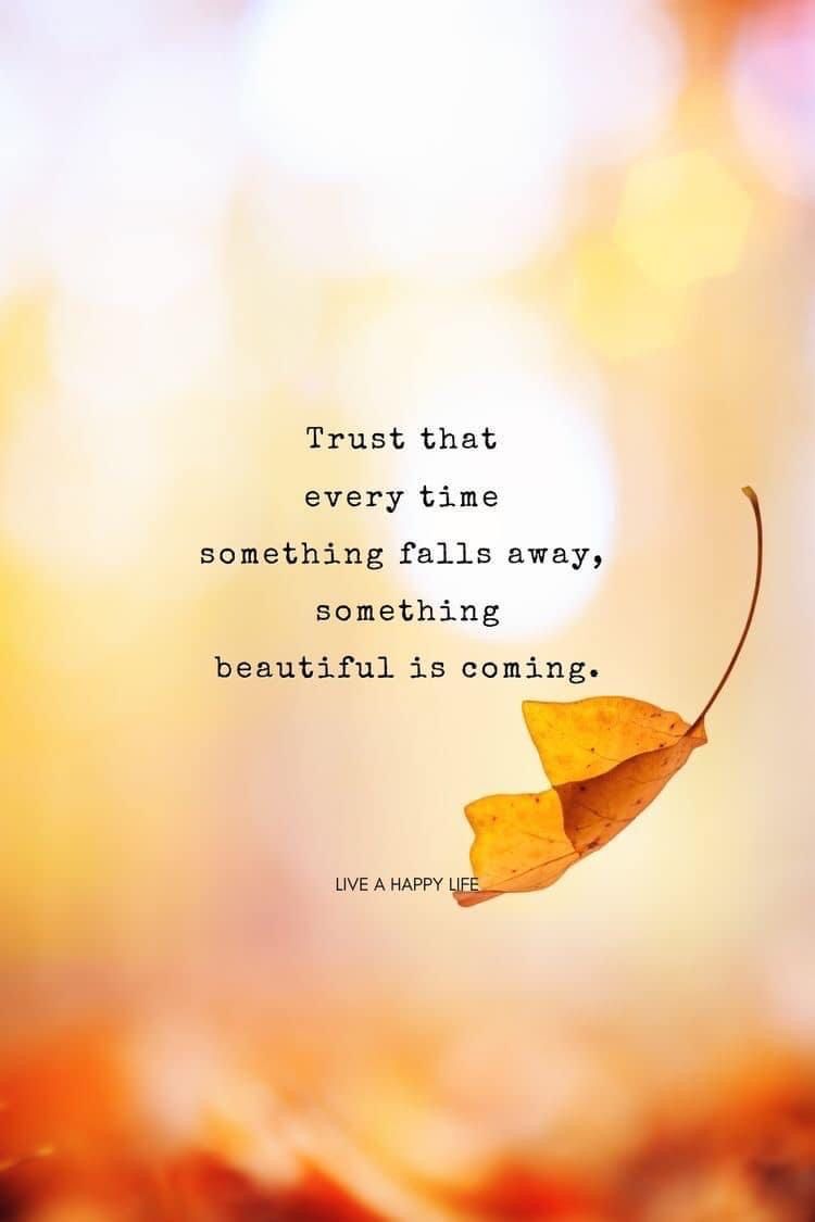 Inspirational Quote with Autumn Leaf