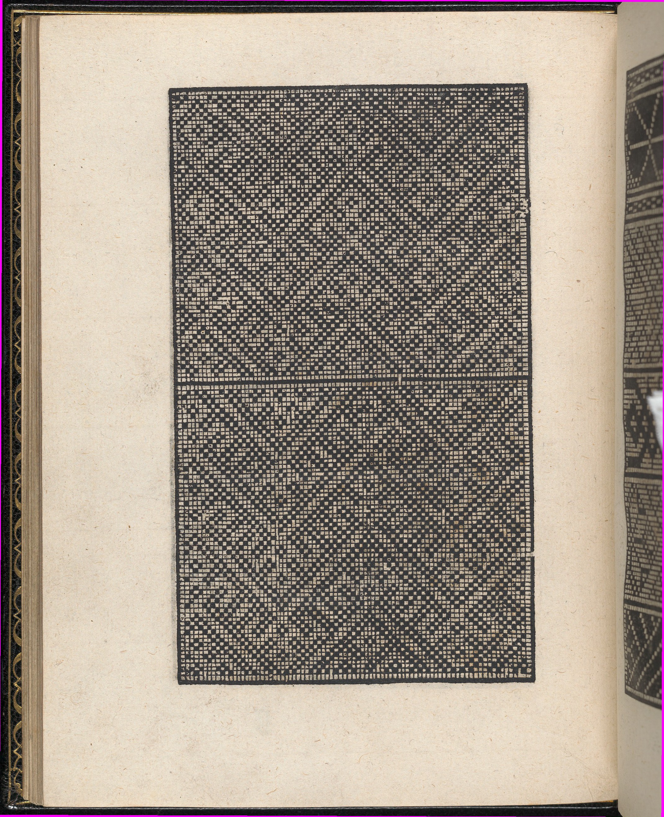 Black Geometric Grid Pattern on Old Book Page