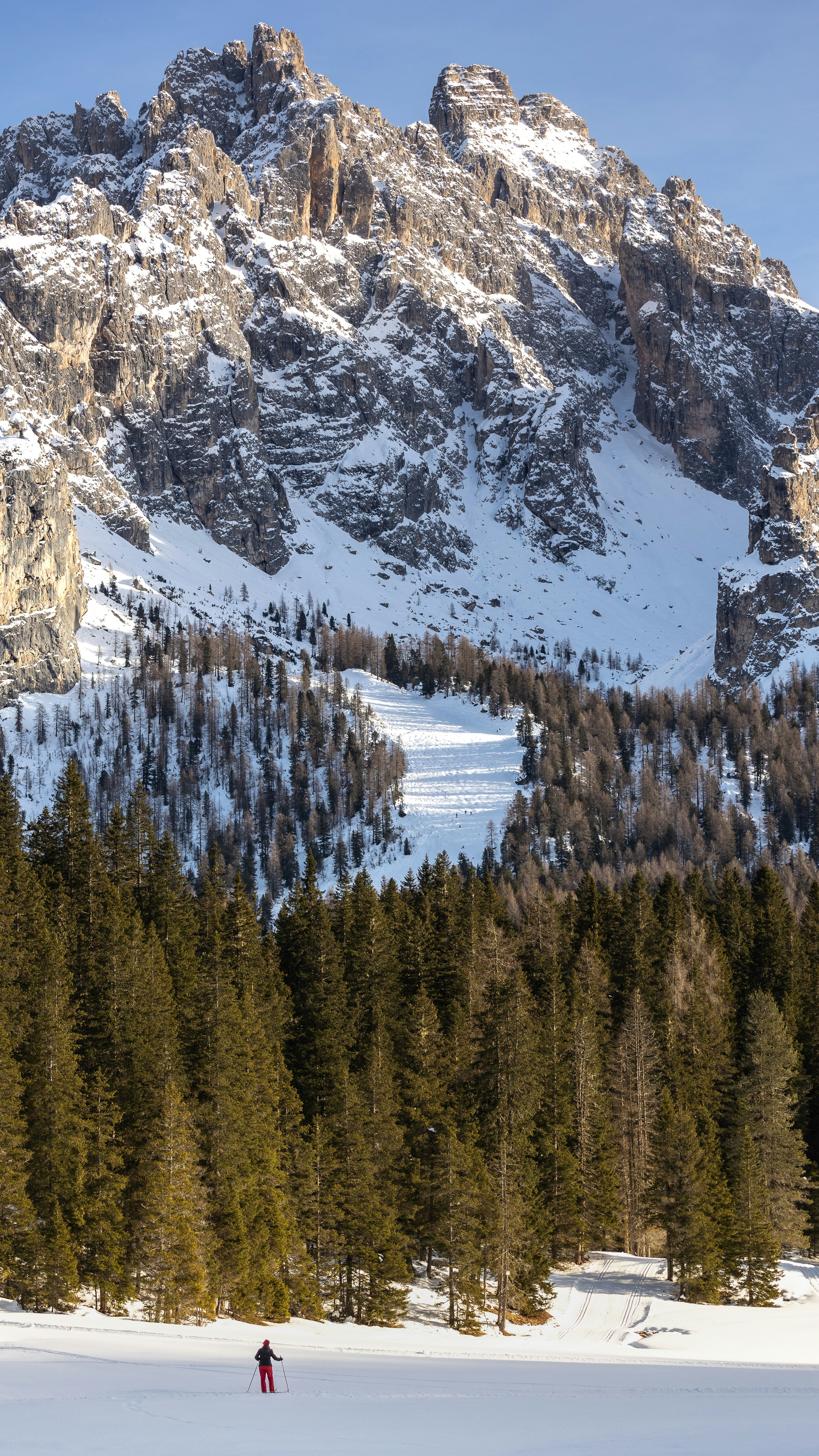 Winter Mountain Landscape with Skier
