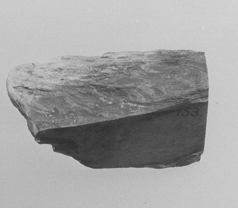 Grayscale Photo of Rock Specimen