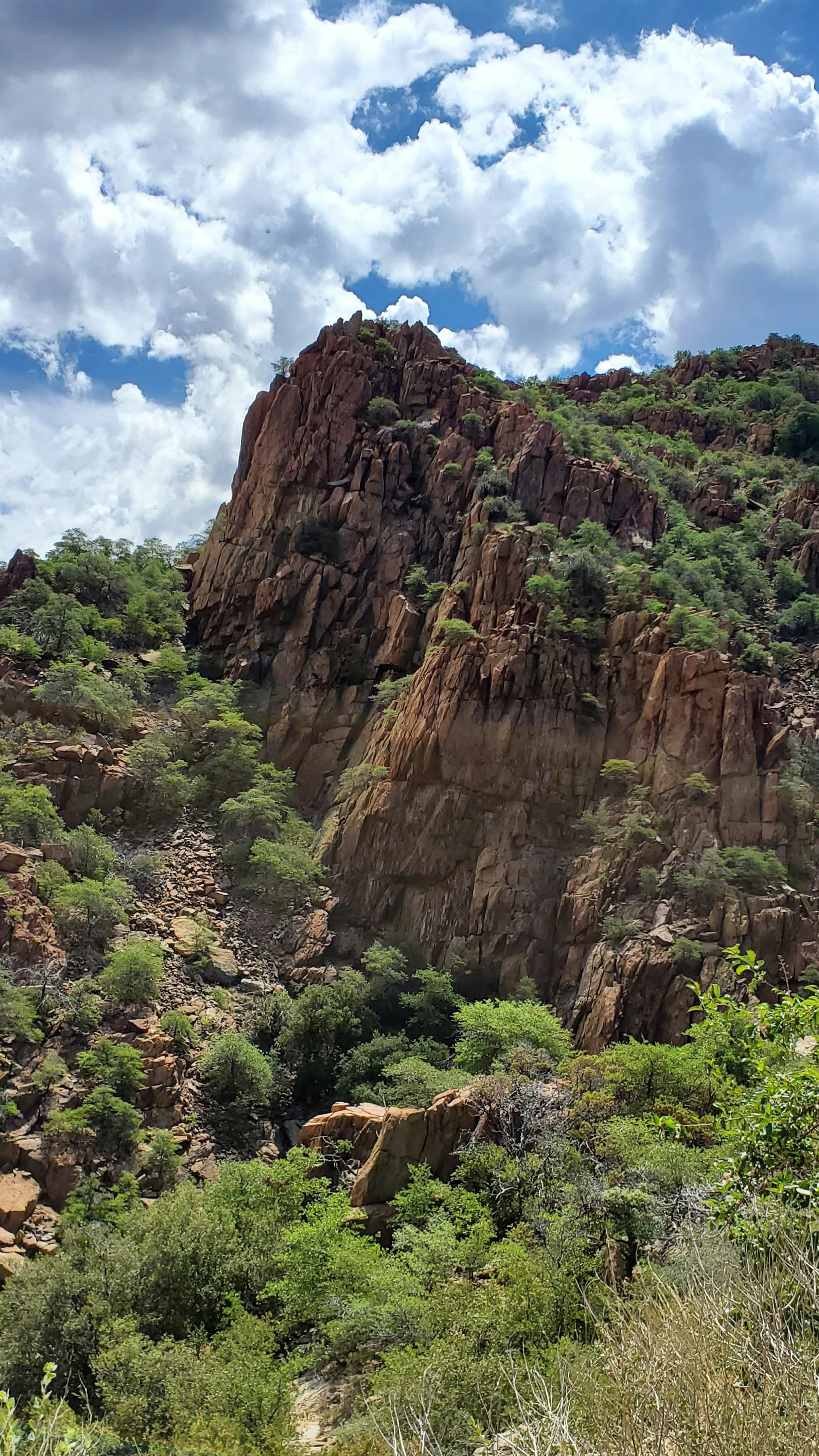 Image 1568329 — Backgrounds
