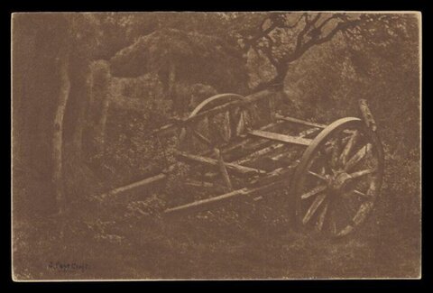 Abandoned Wooden Cart in Woods