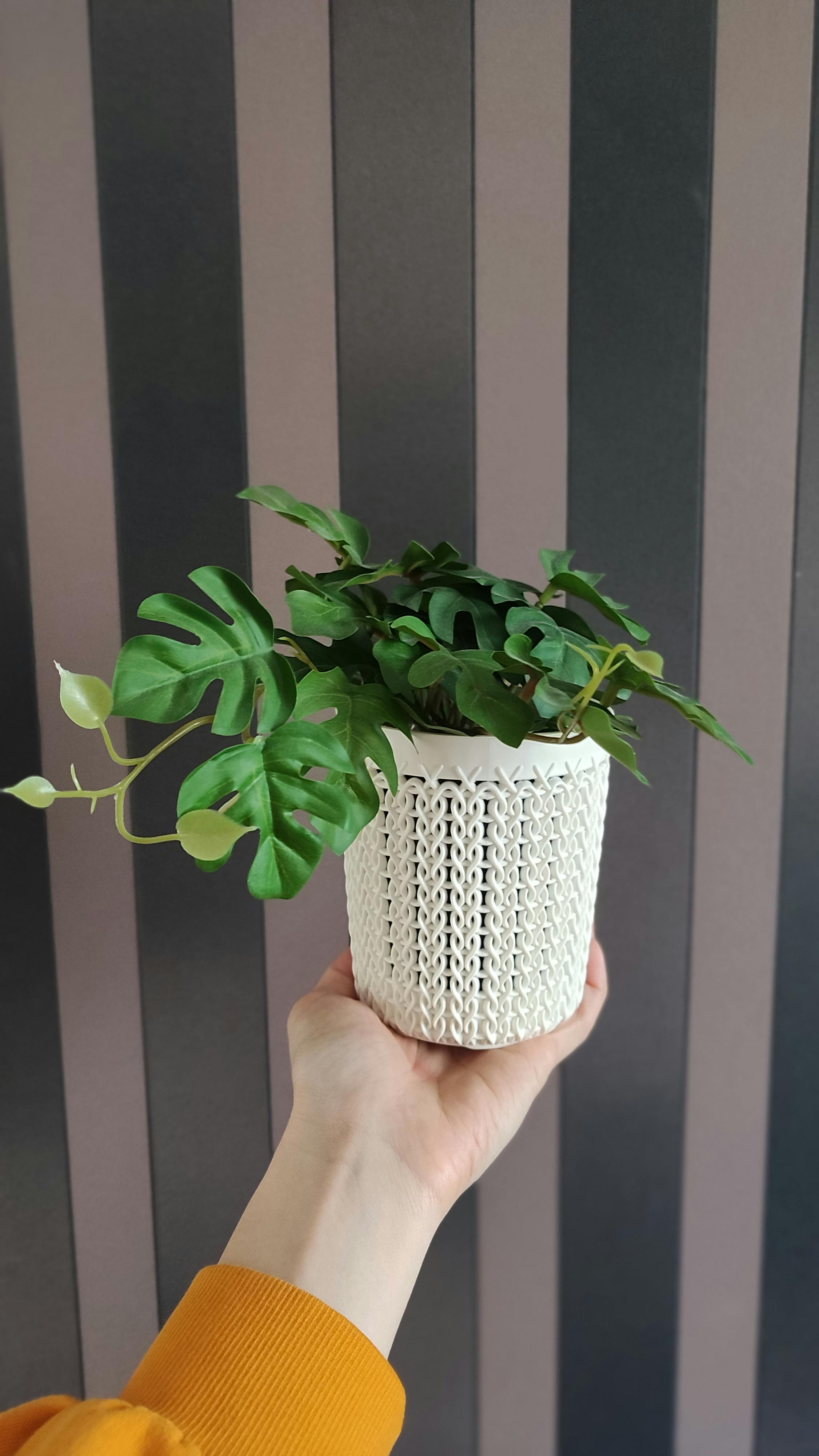 Home Decoration