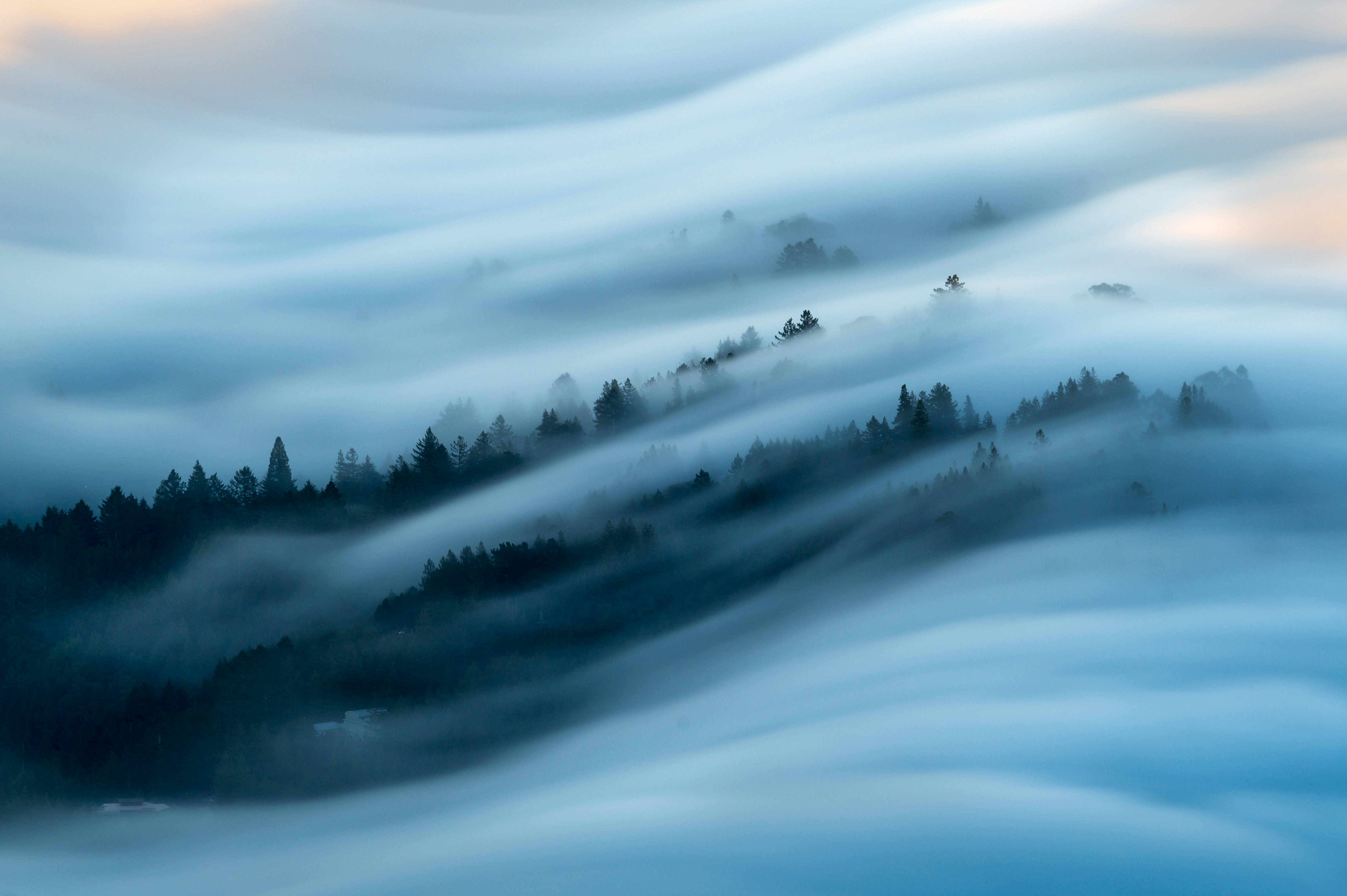Fog Waves Over Mountain Forest