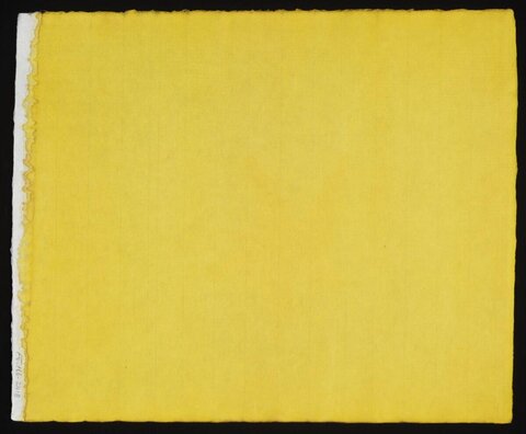 Solid Yellow Fabric Swatch