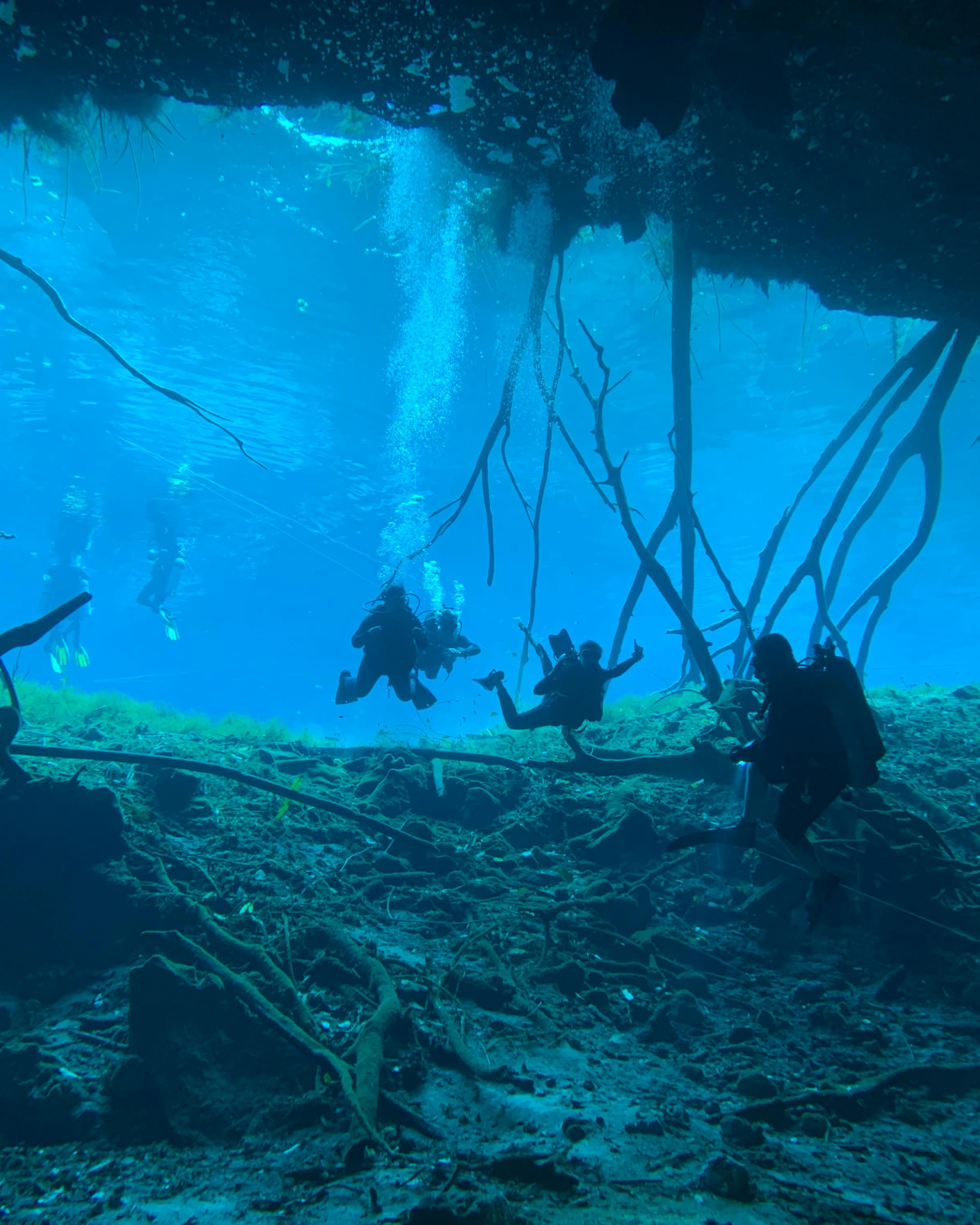 Ocean World