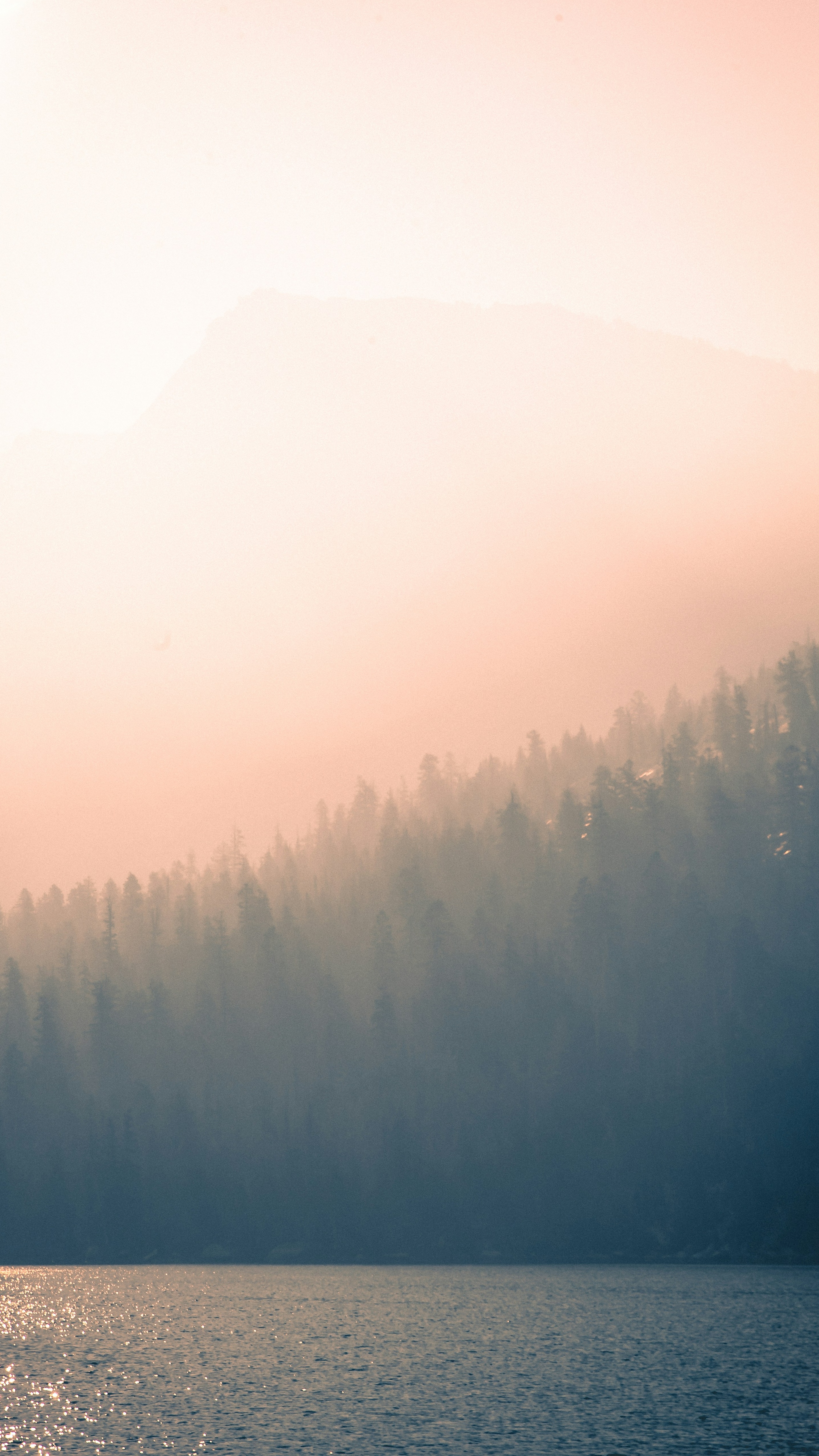 Landscapes
