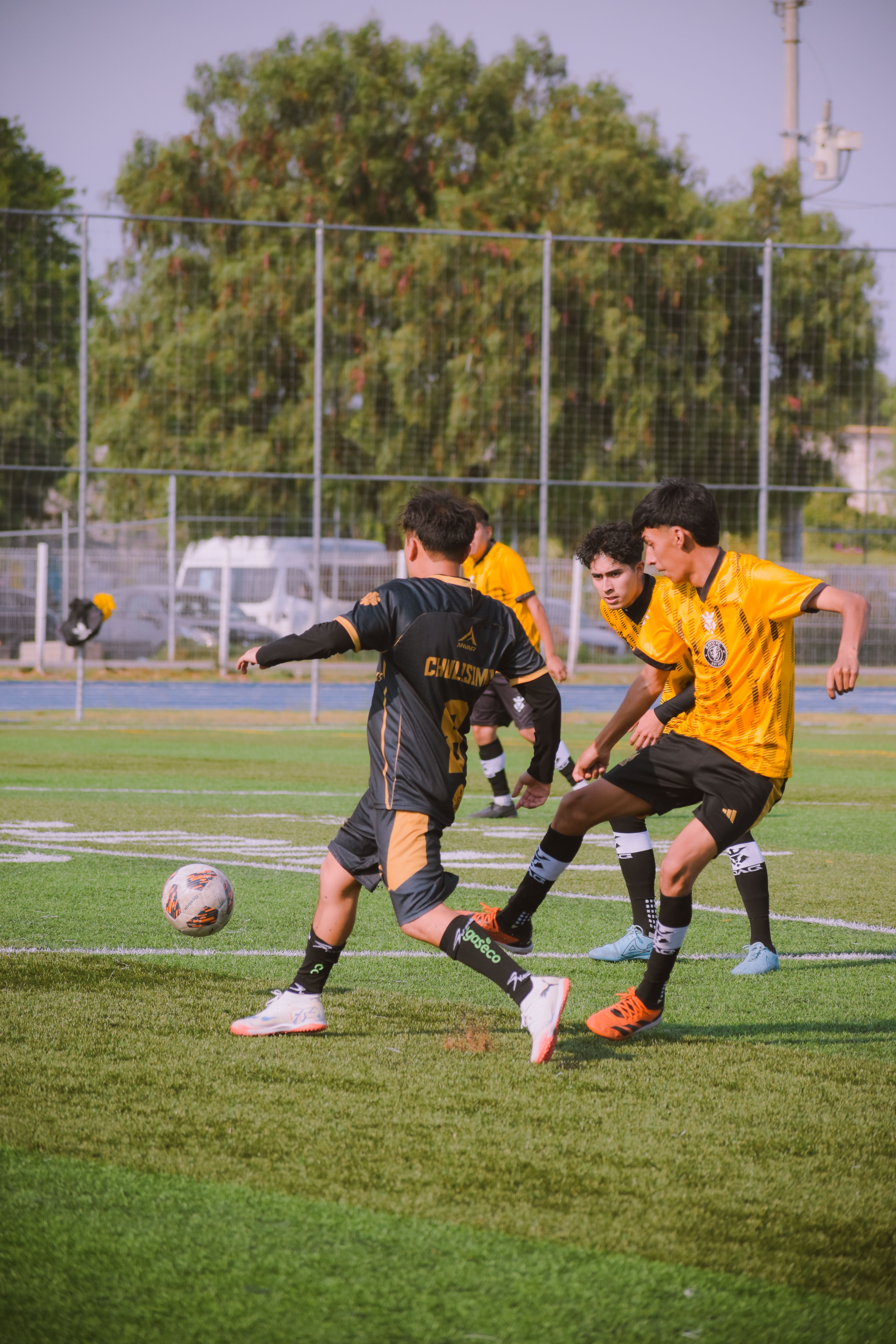 Image 1622948 — Sports