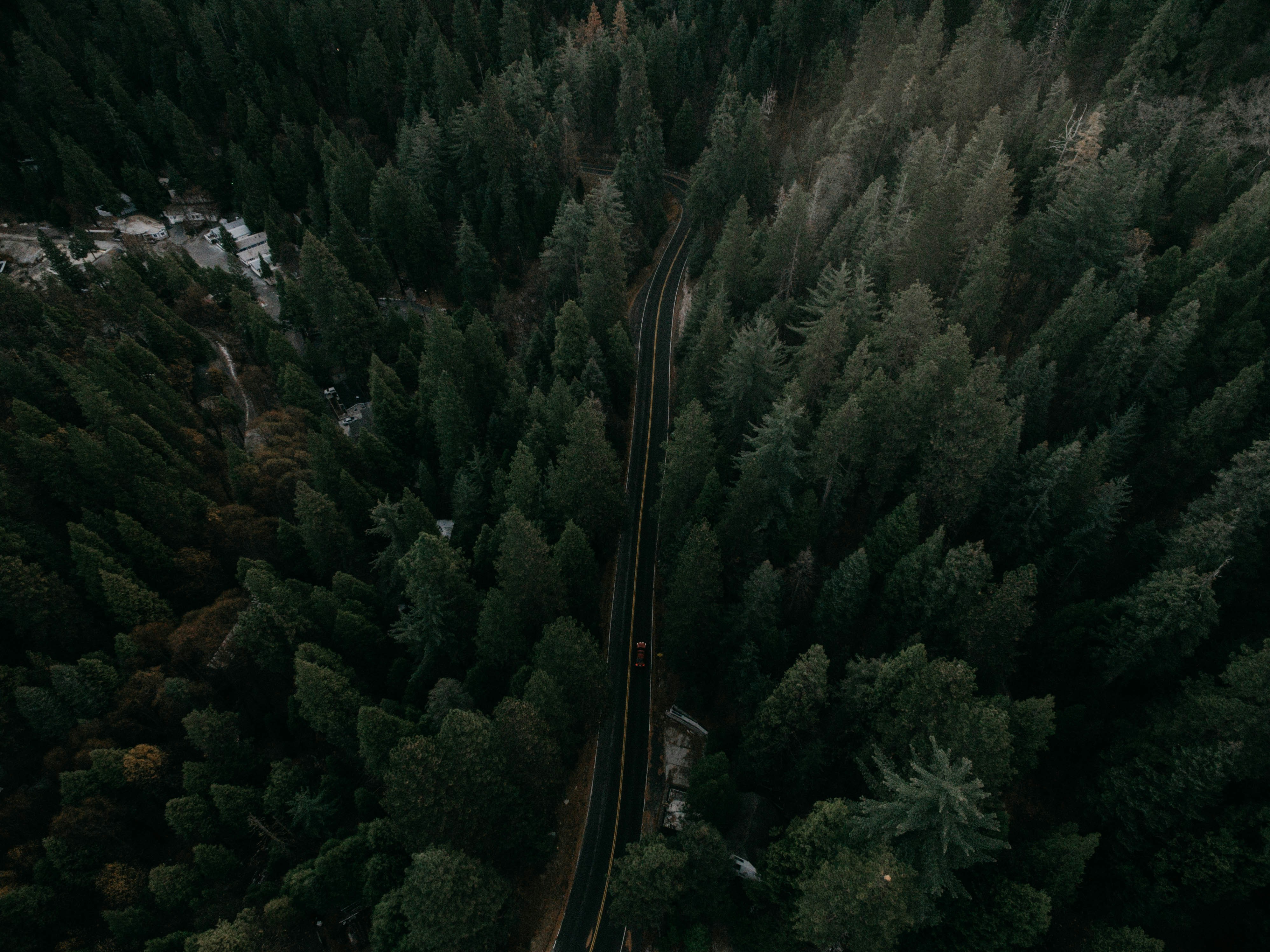 Aerial View of Winding Forest Road
