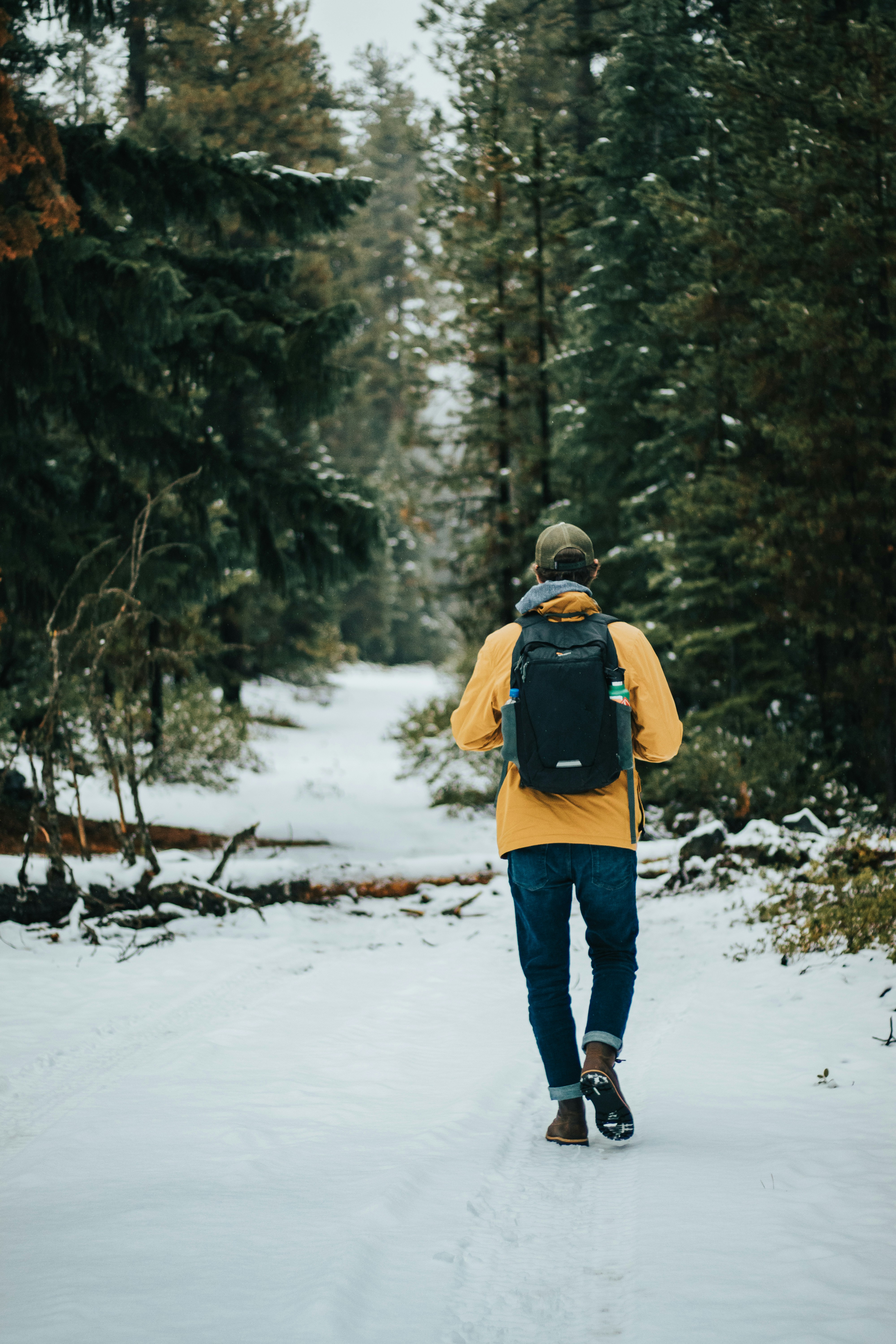 Hiker on Snowy Forest Trail