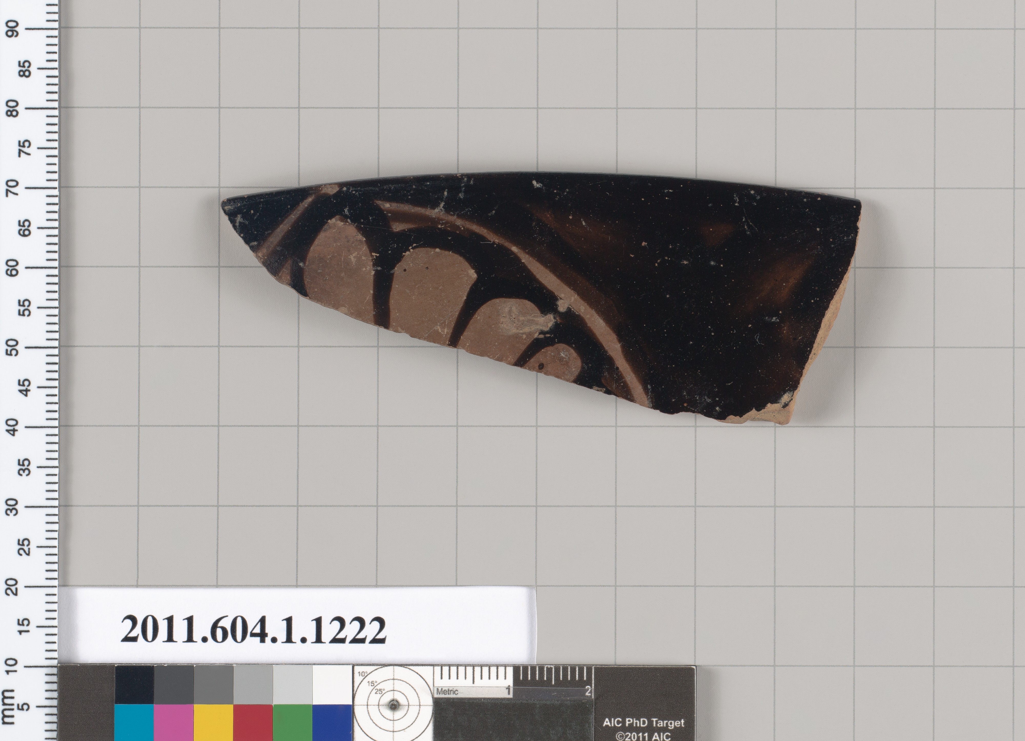 Ancient Pottery Fragment