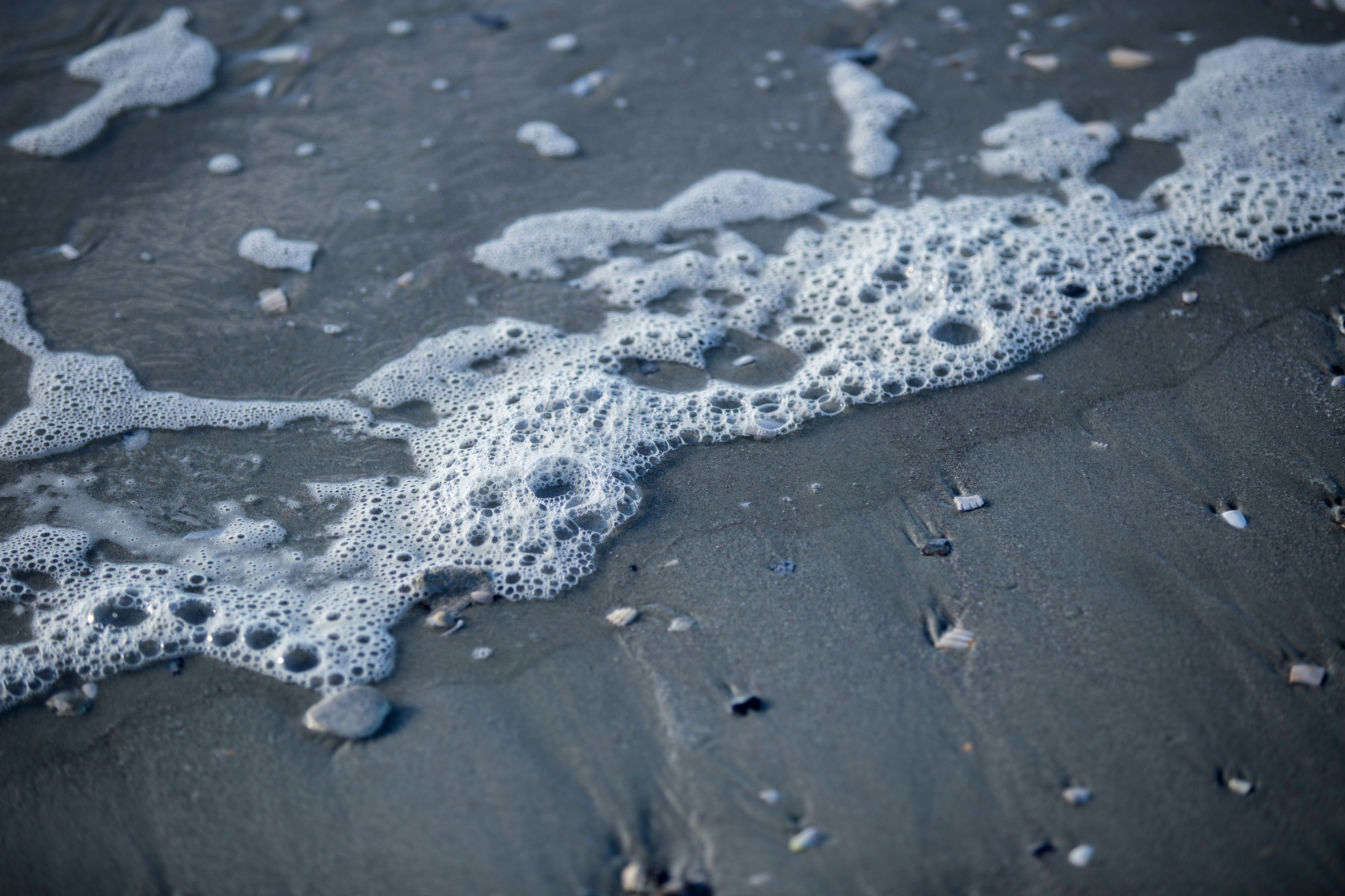 Sea Foam on Dark Beach Sand
