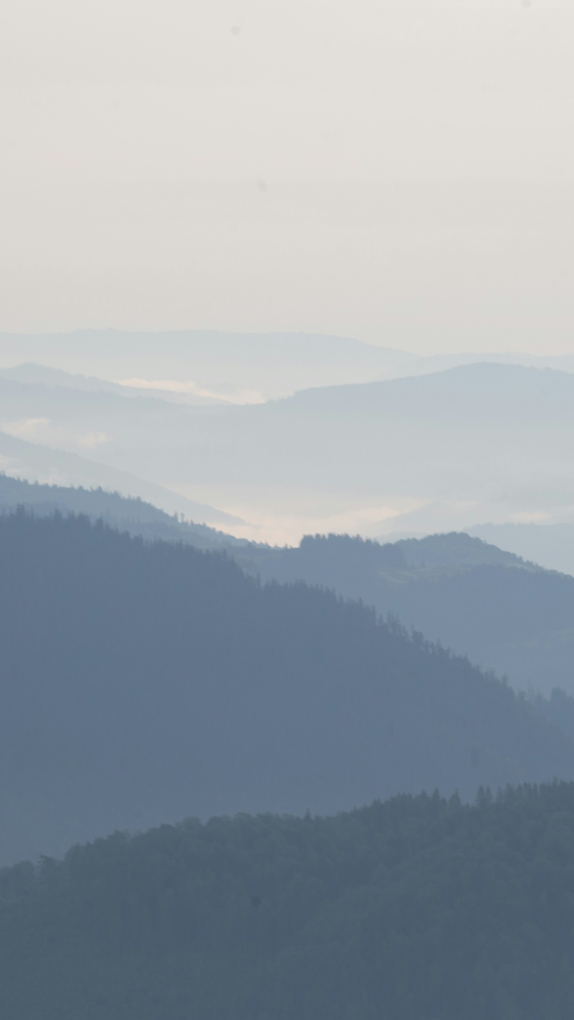 Landscapes