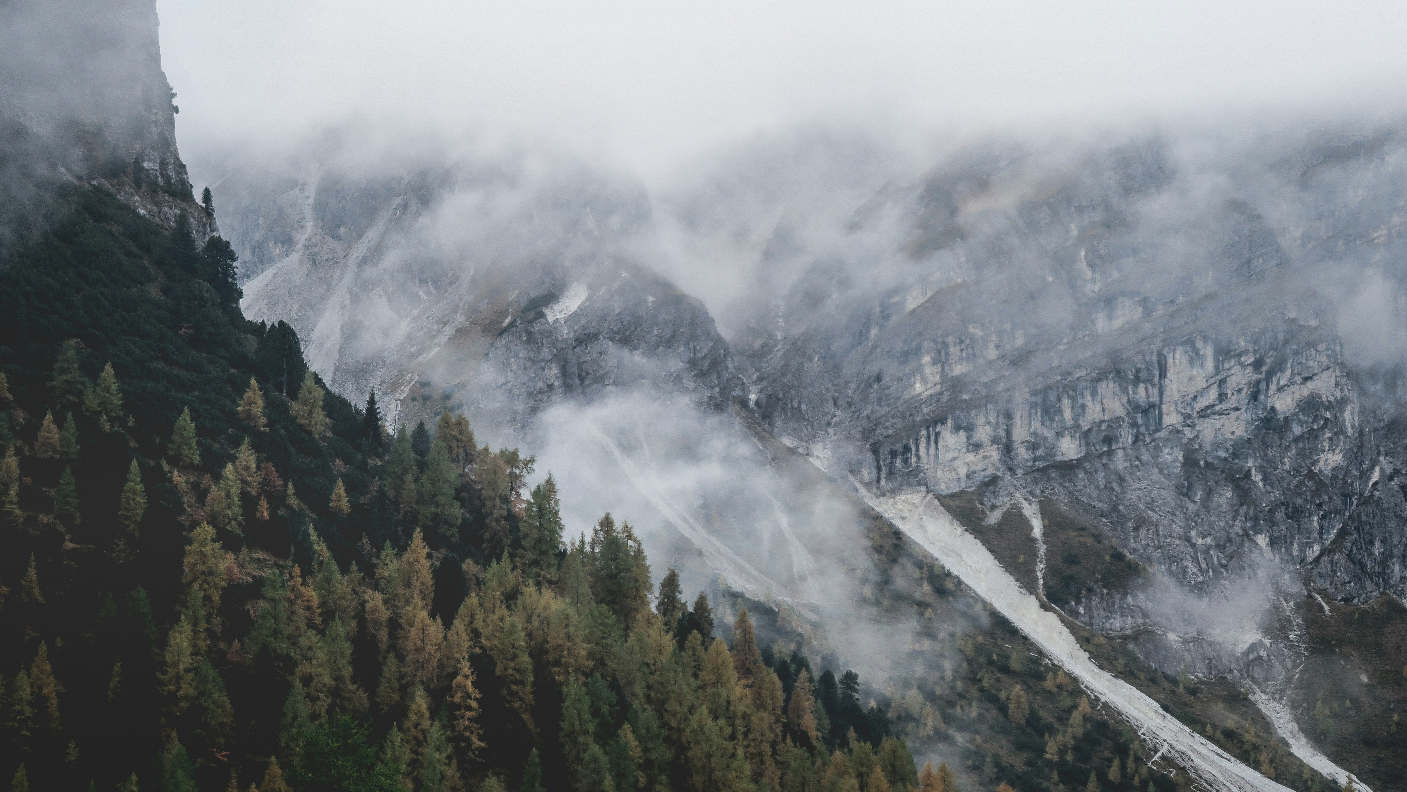 Misty Rocky Mountain Valley