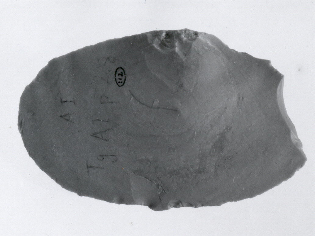 Ancient Stone Axe Artifact