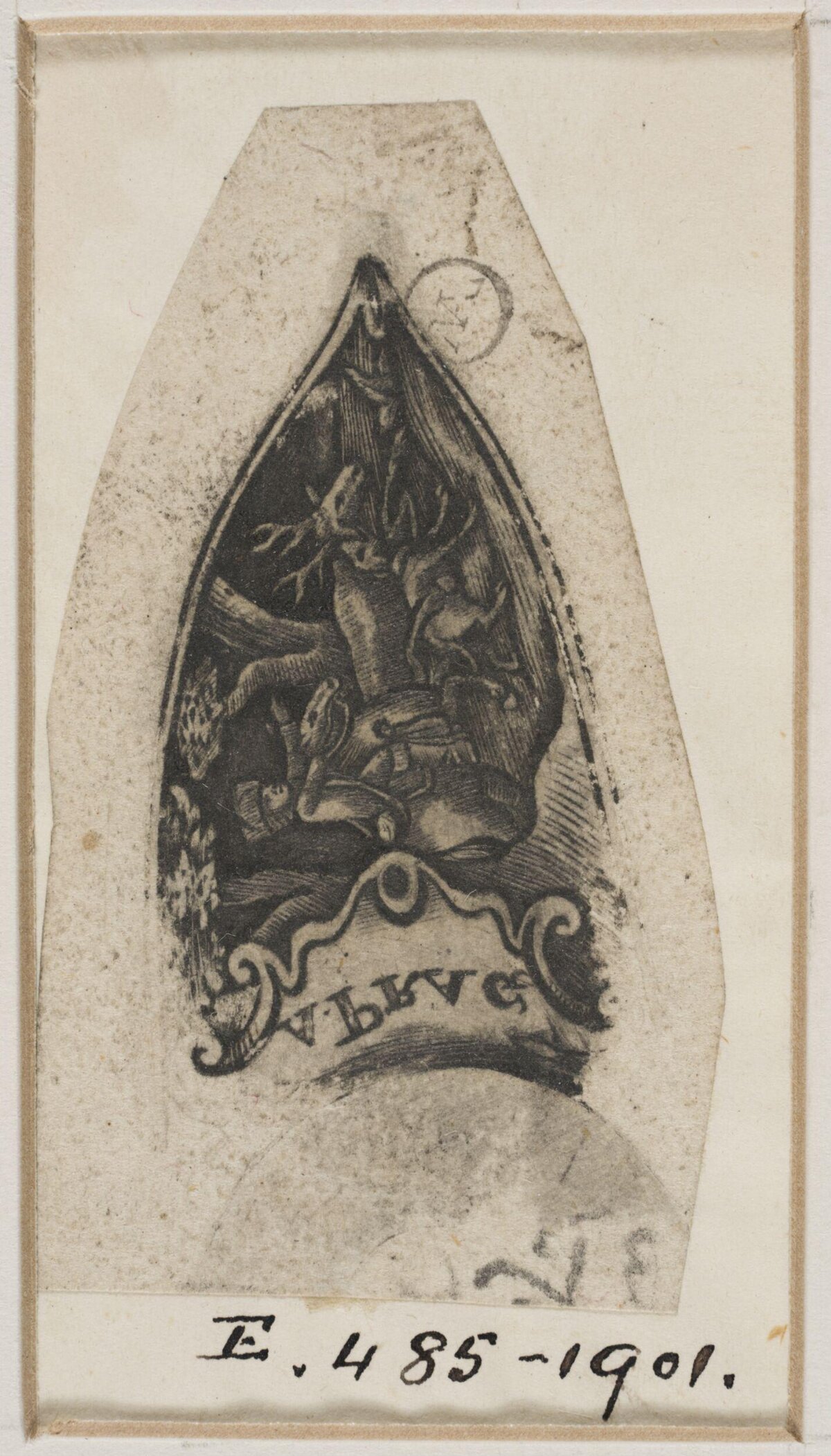 Antique Engraved Heraldic Shield