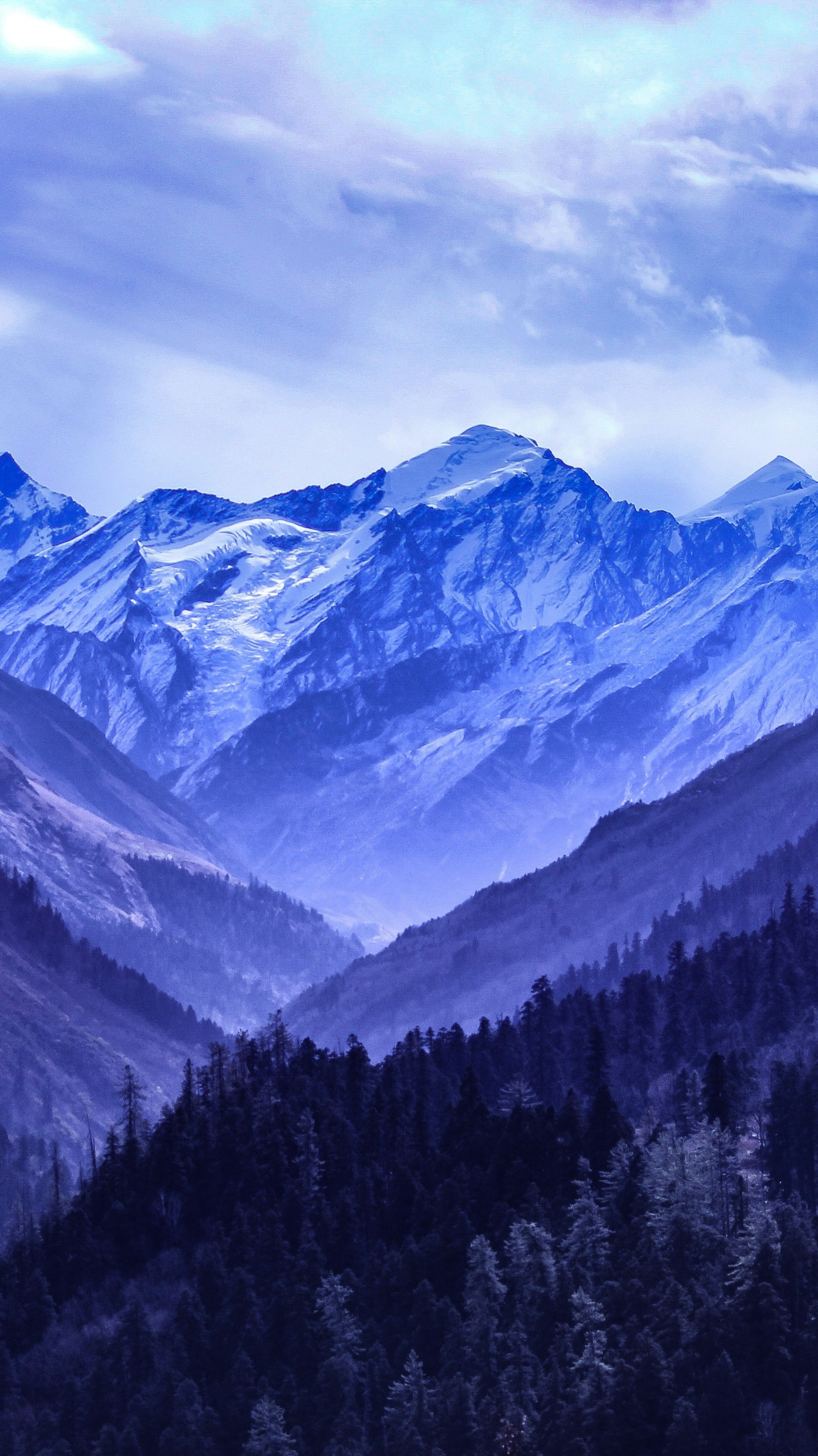 Wallpapers